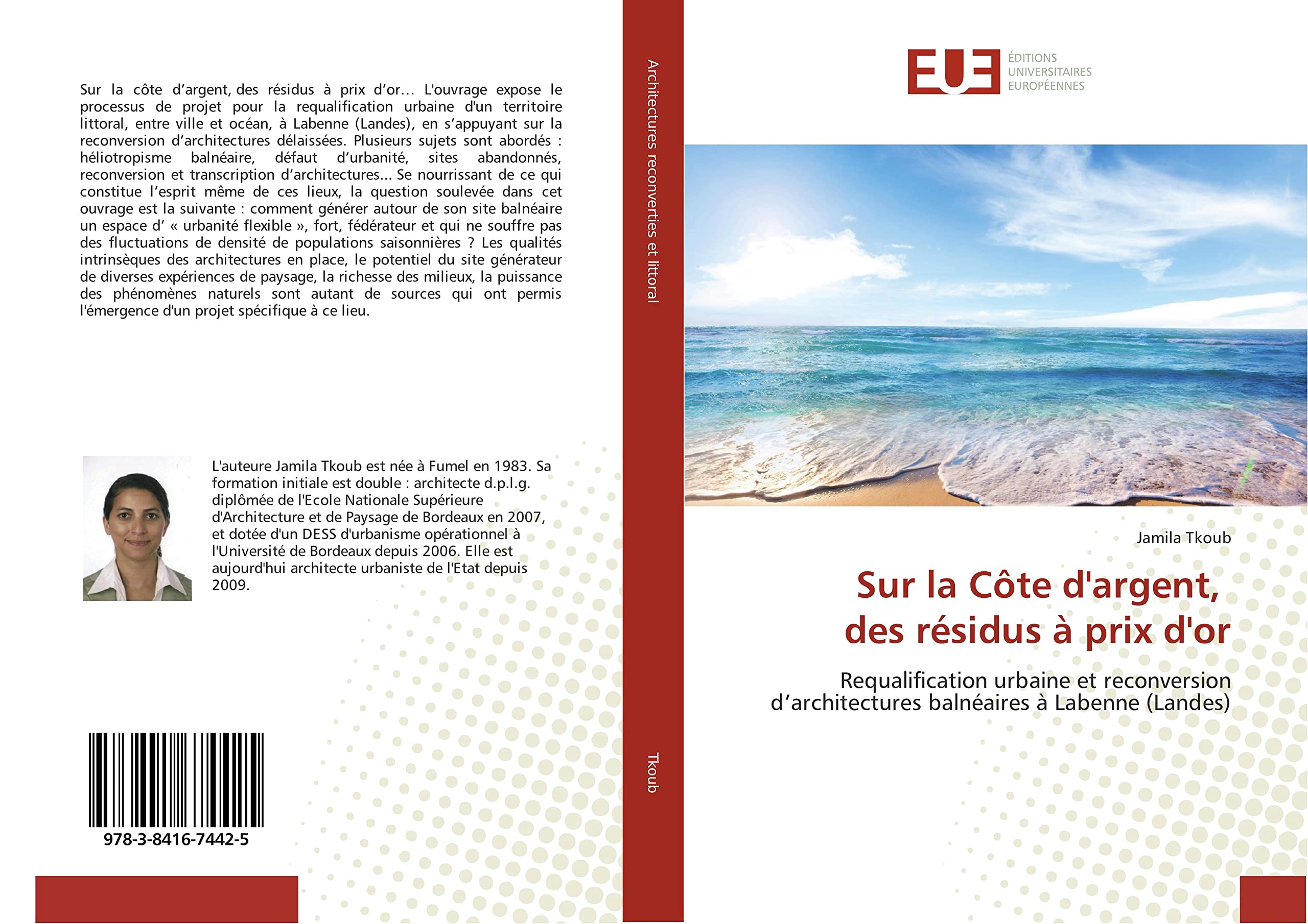 Sur la Côte d'argent, des résidus à prix d'or: Requalification urbaine et reconversion d'architectures balnéaires à Labenne (Landes) book