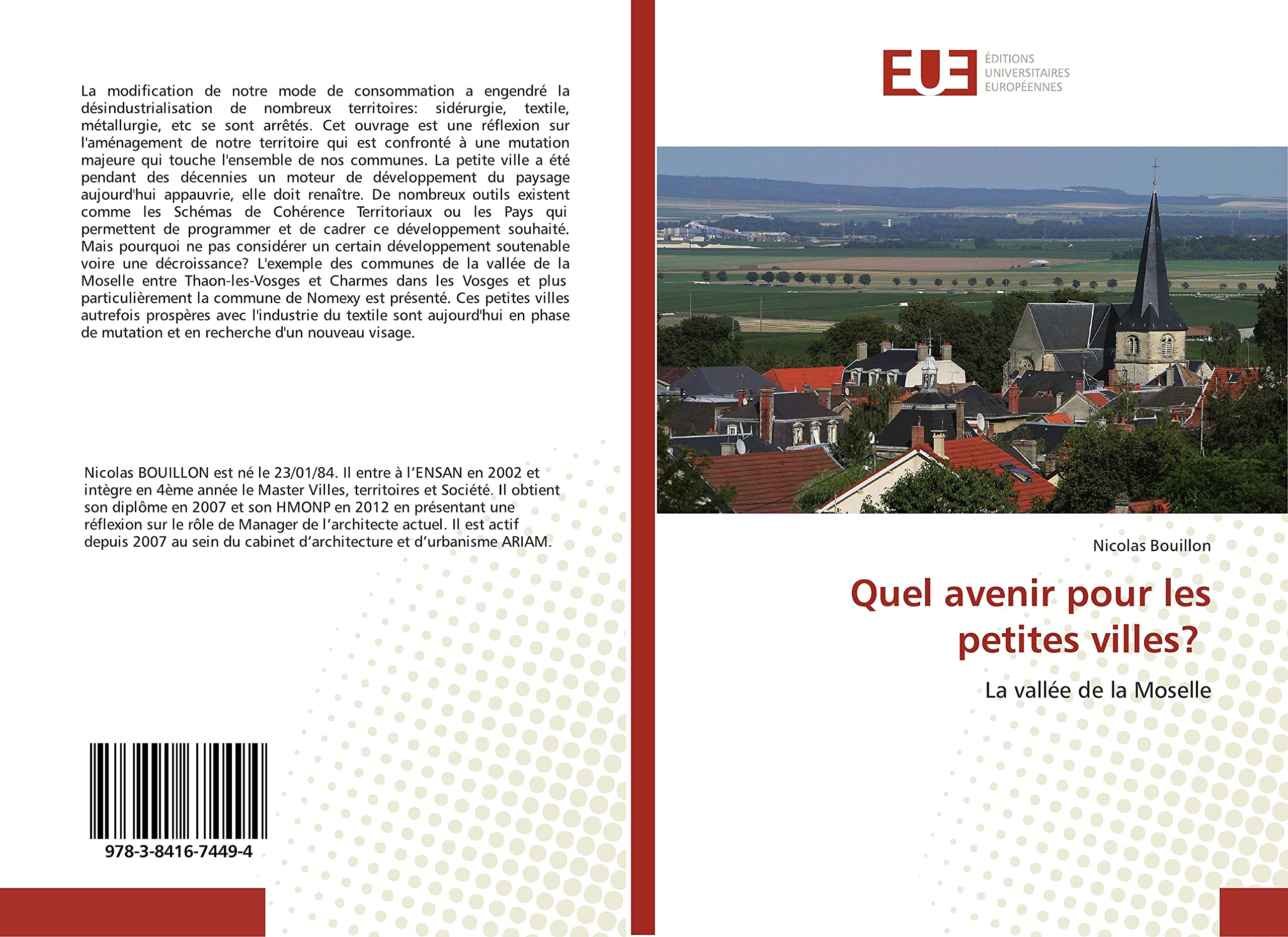 Quel avenir pour les petites villes?: La vallée de la Moselle book