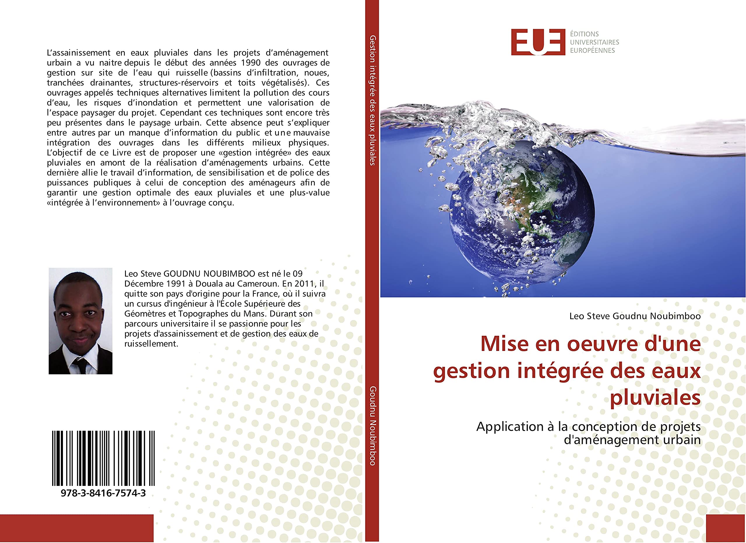 Mise en oeuvre dune gestion intégrée des eaux pluviales book