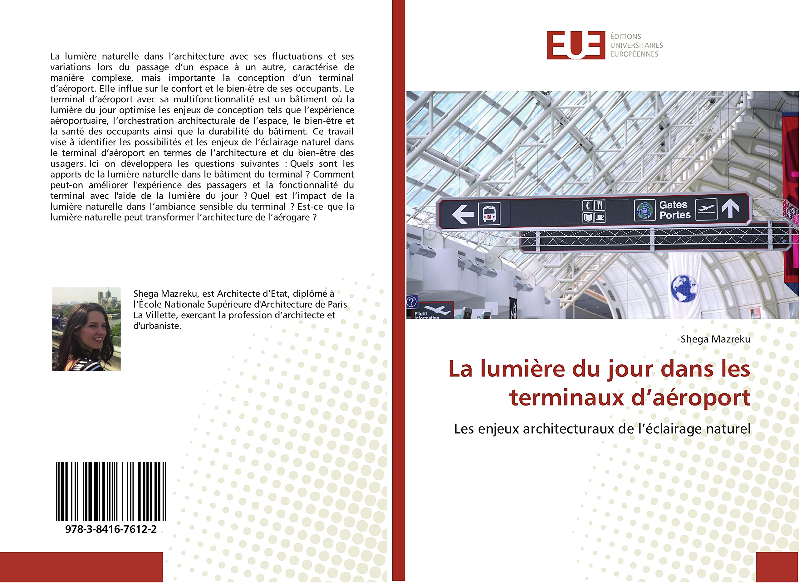 La lumière du jour dans les terminaux d’aéroport: Les enjeux architecturaux de l’éclairage naturel book
