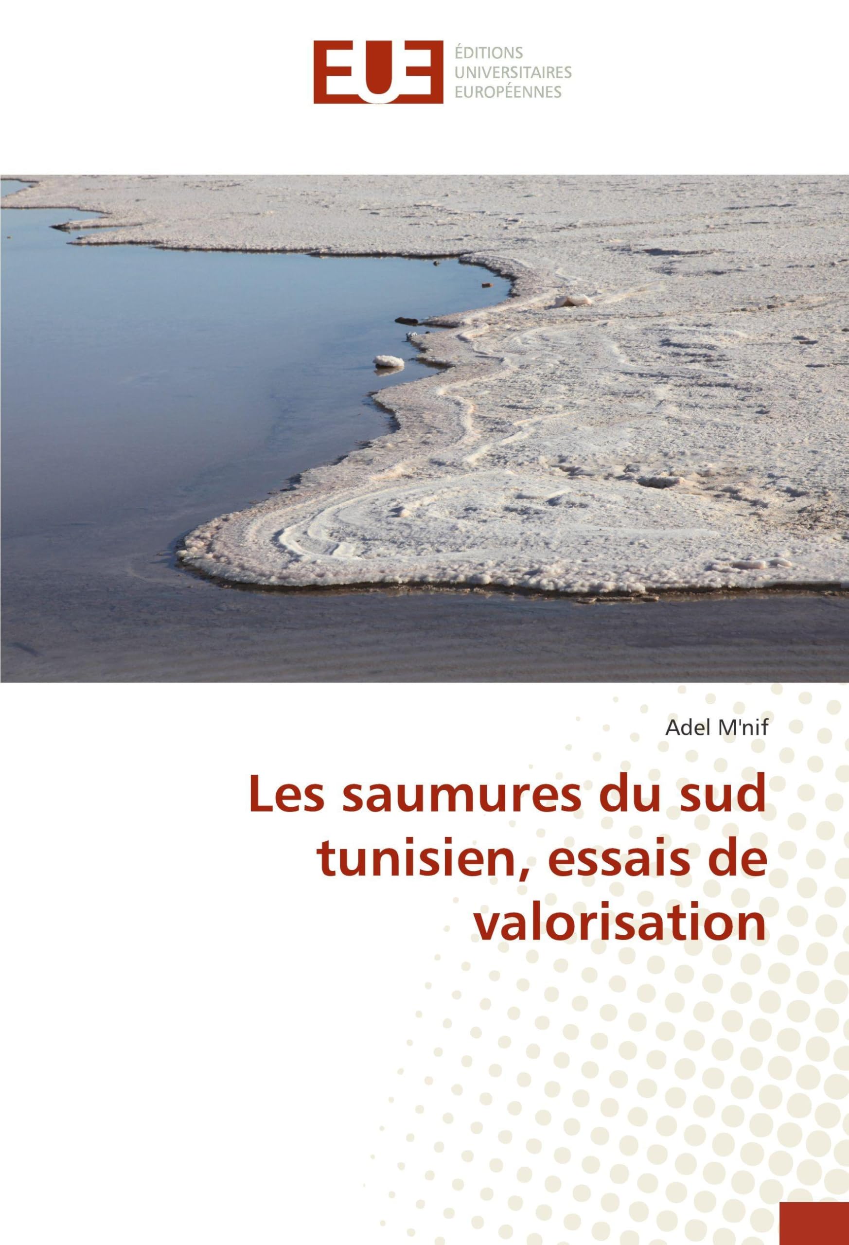 Les saumures du sud tunisien, essais de valorisation book