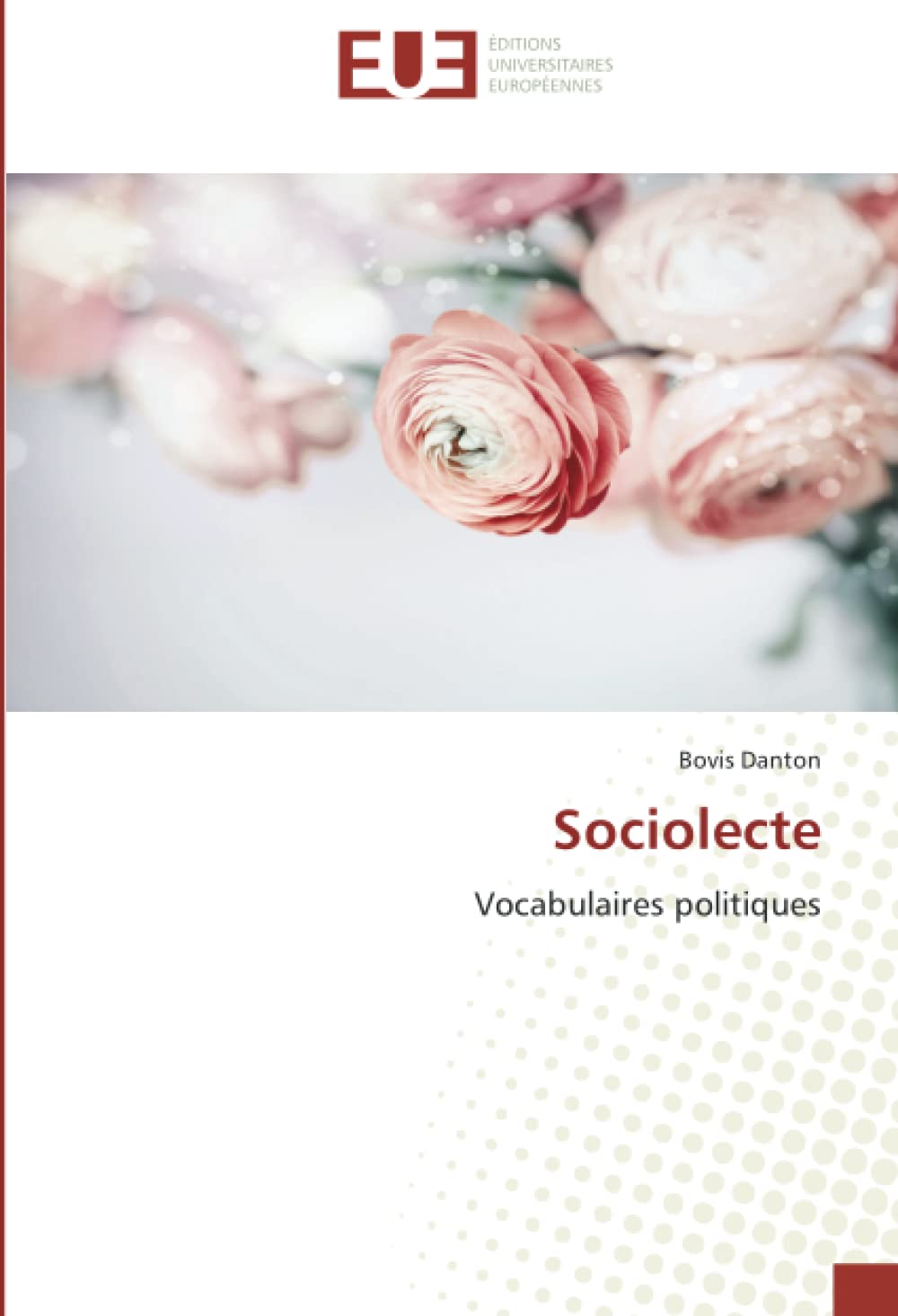 Sociolecte: Vocabulaires politiques book