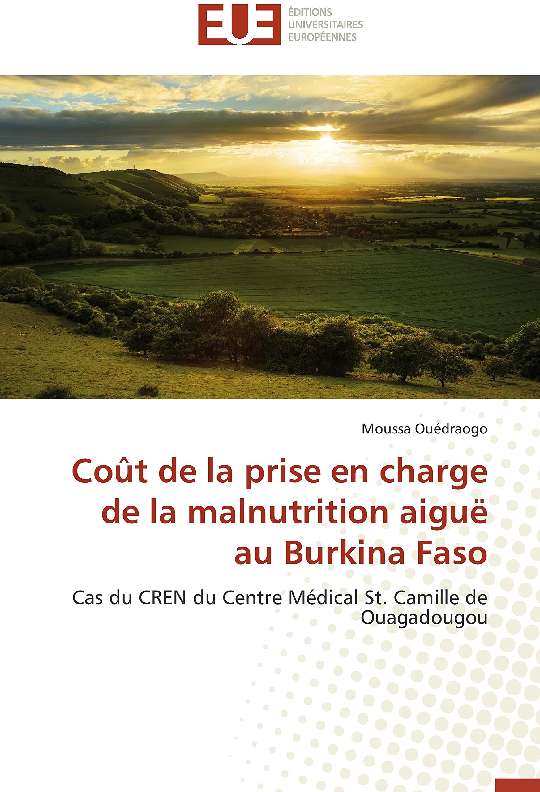 Coût de la prise en charge de la malnutrition aiguë au Burkina Faso: Cas du CREN du Centre Médical St. Camille de Ouagadougou book