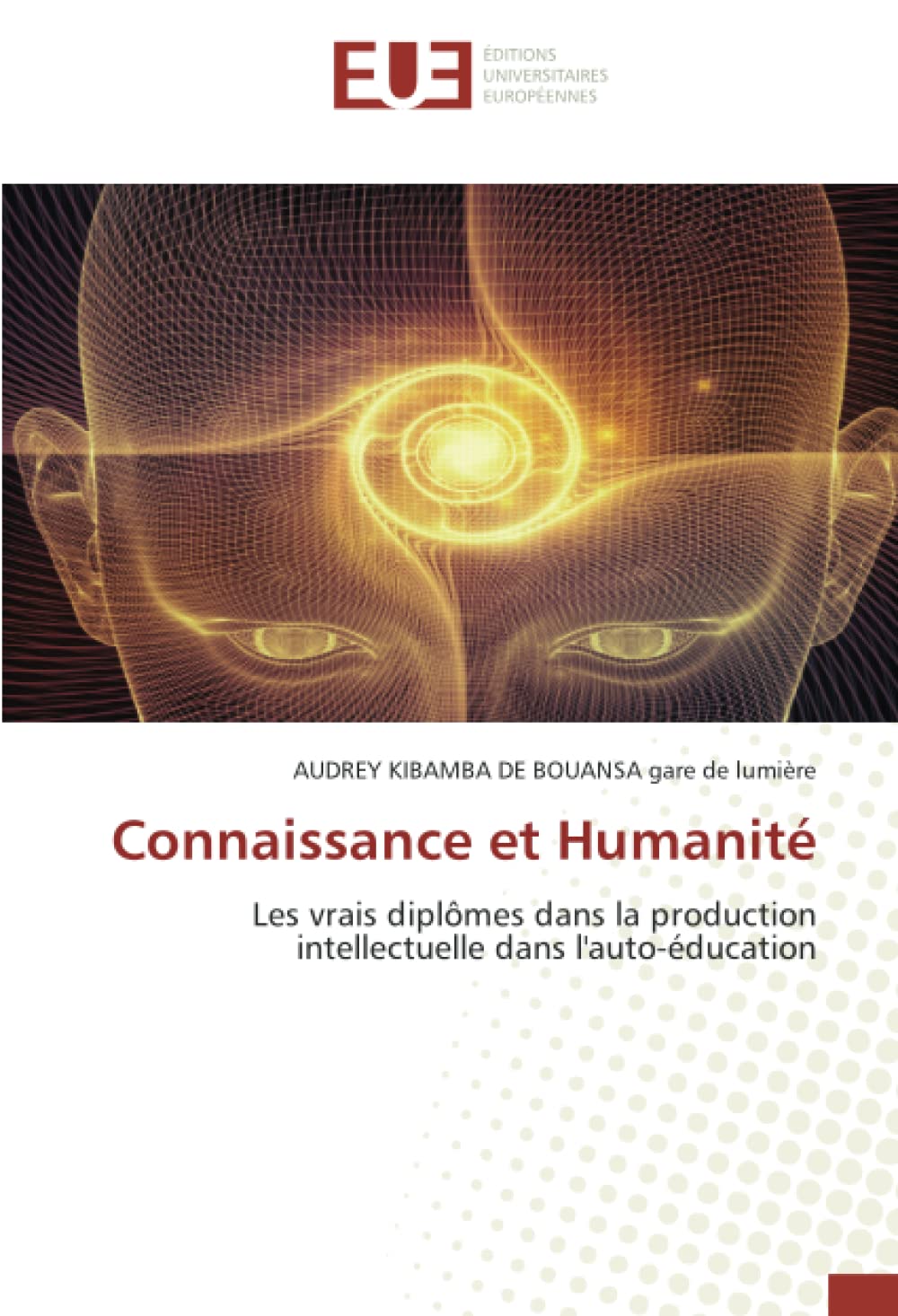 Connaissance et Humanité: Les vrais diplômes dans la production intellectuelle dans l'auto-éducation book
