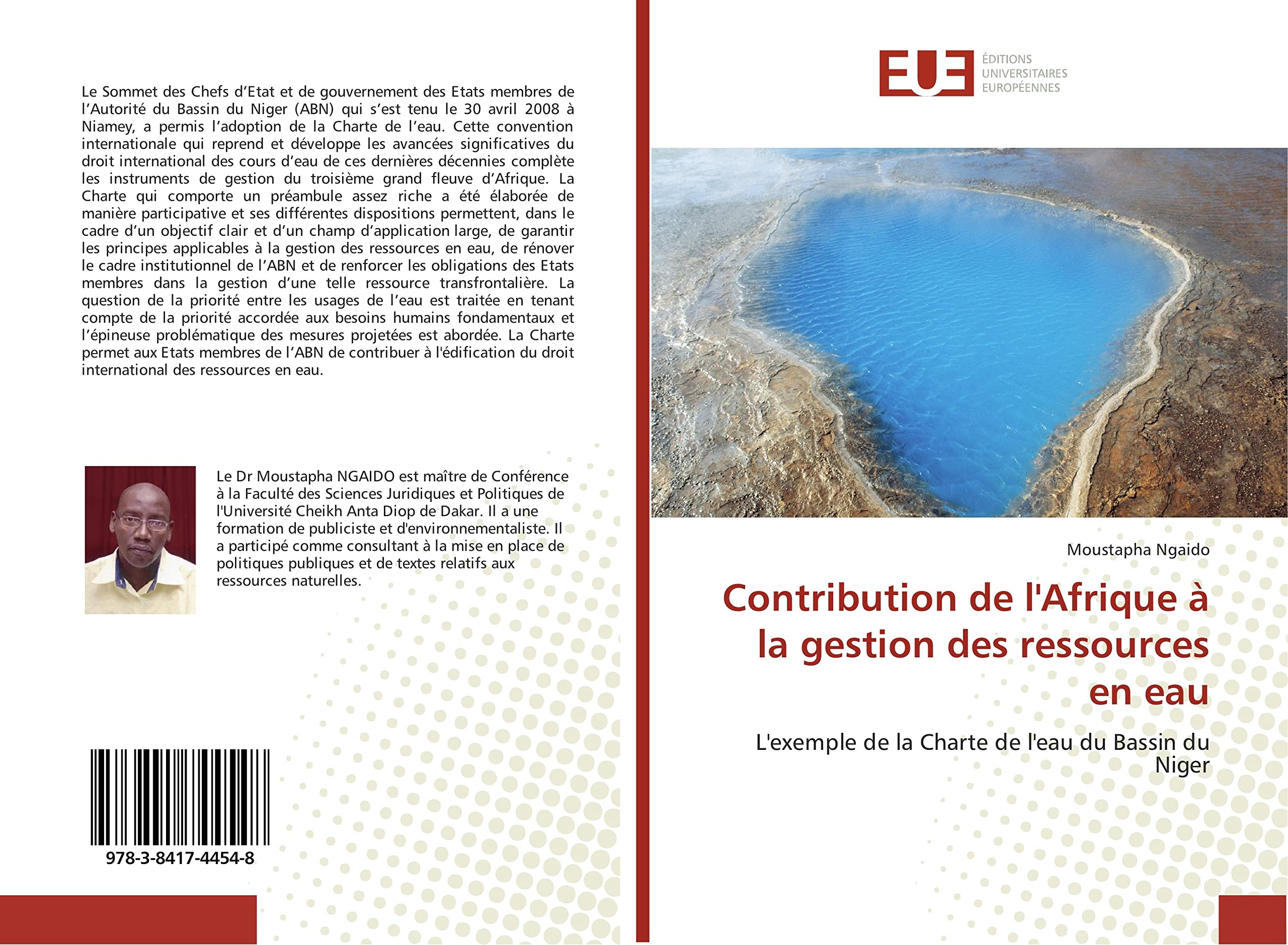 Contribution de l'Afrique à la gestion des ressources en eau: L'exemple de la Charte de l'eau du Bassin du Niger book