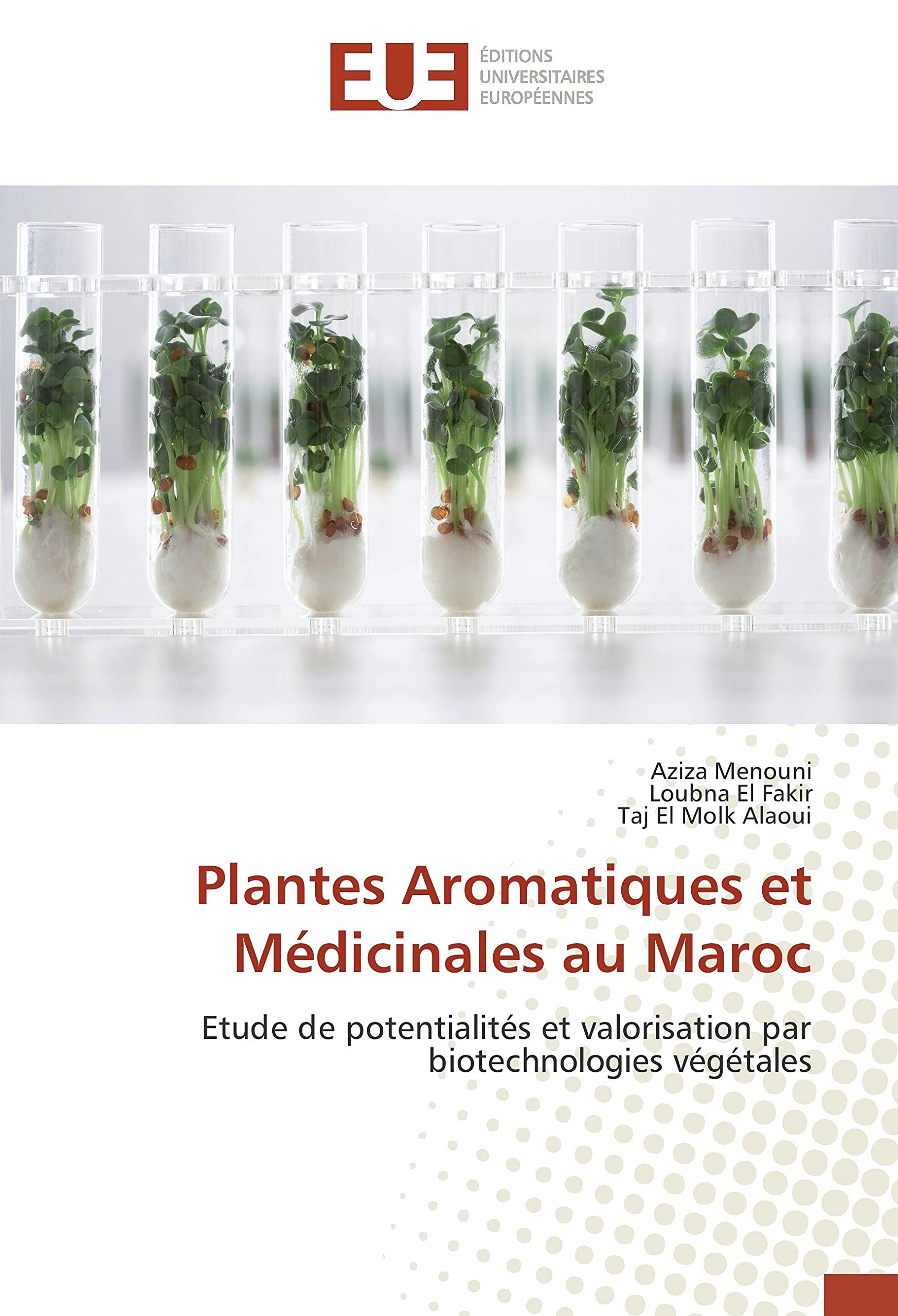 Plantes Aromatiques et Medicinales au Maroc: Etude de potentialites et valorisation par biotechnologies vegetales book