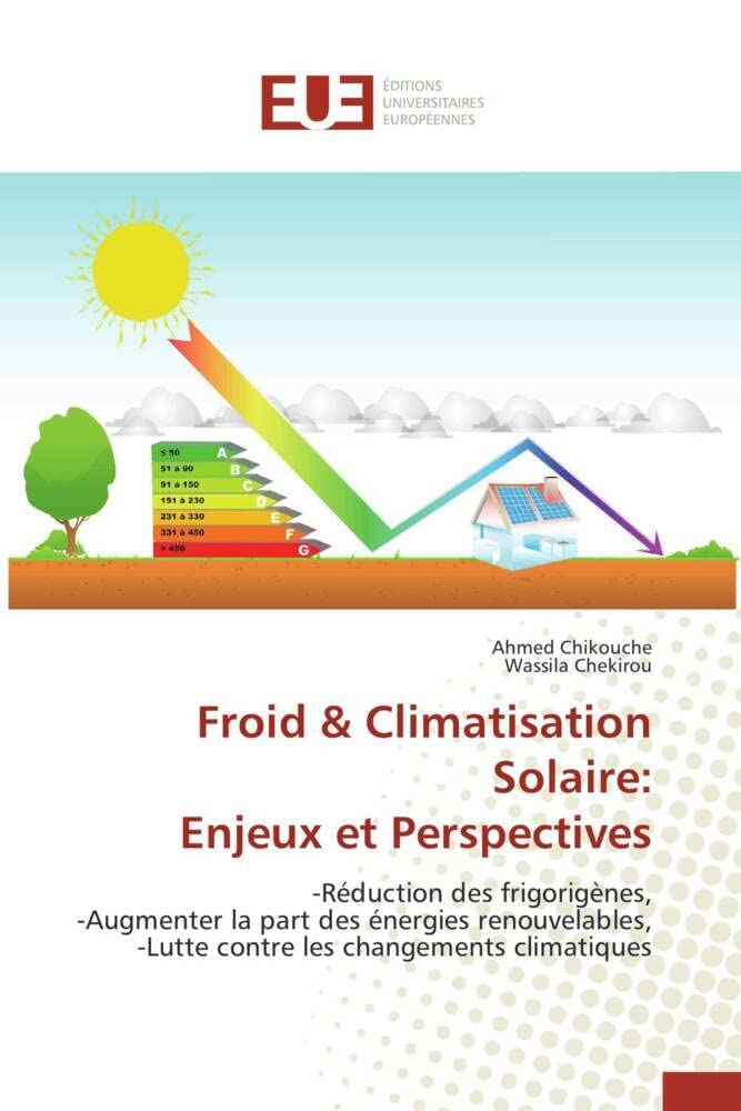 Froid & climatisation solaire: enjeux et perspectives book