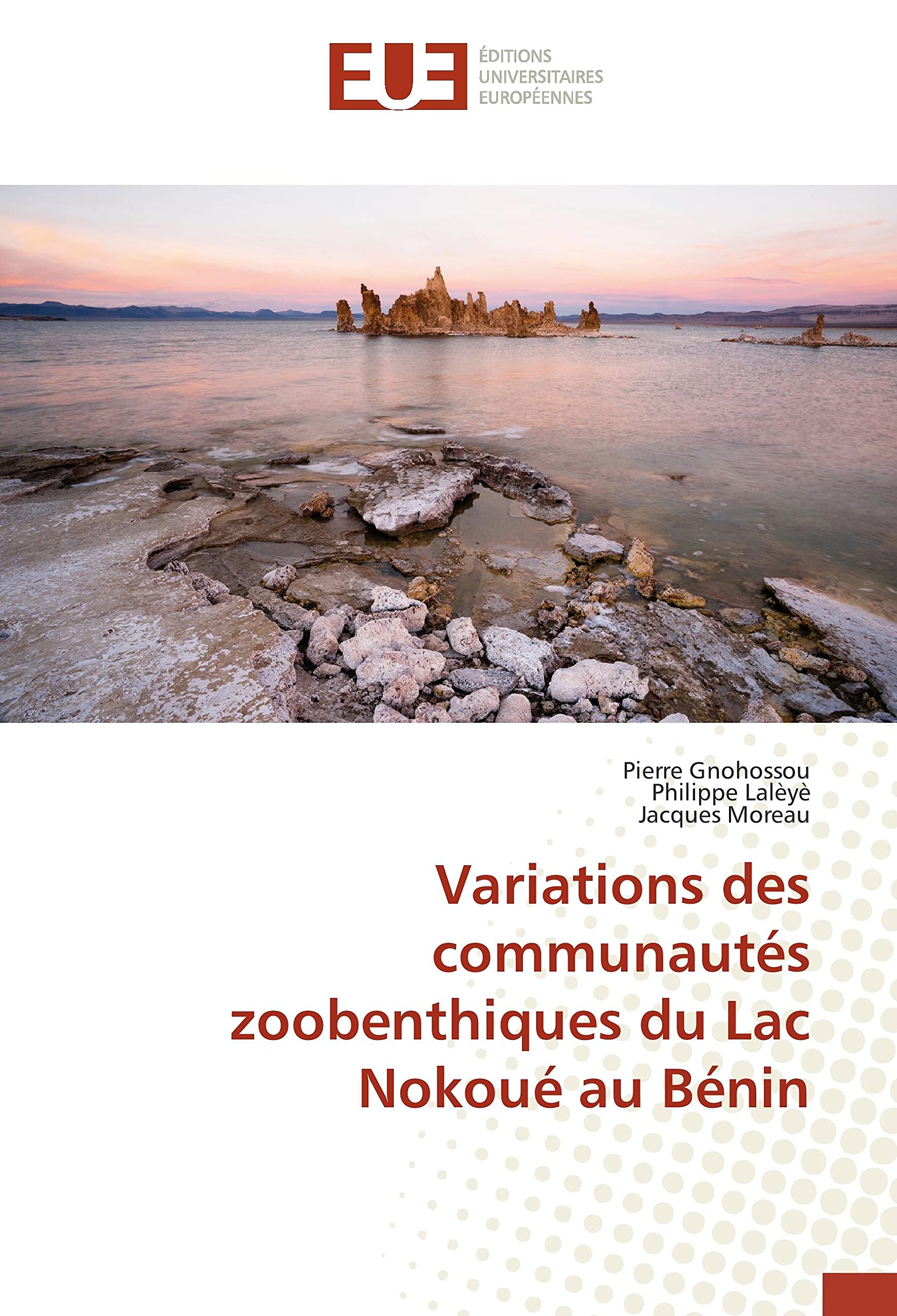Variations des communautés zoobenthiques du Lac Nokoué au Bénin book
