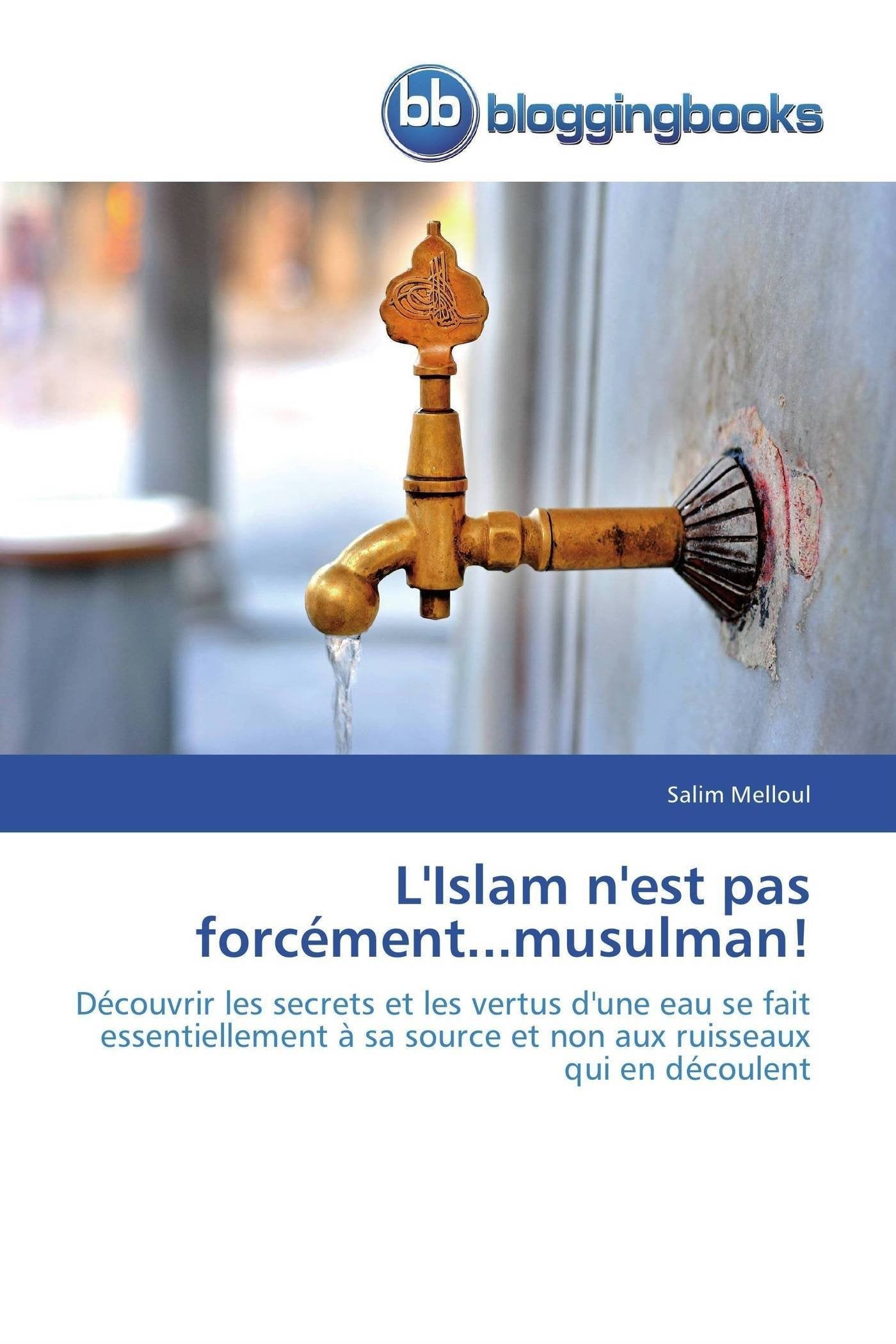 L'Islam n'est pas forcément...musulman!: Découvrir les secrets et les vertus d'une eau se fait essentiellement à sa source et non aux ruisseaux qui en découlent book