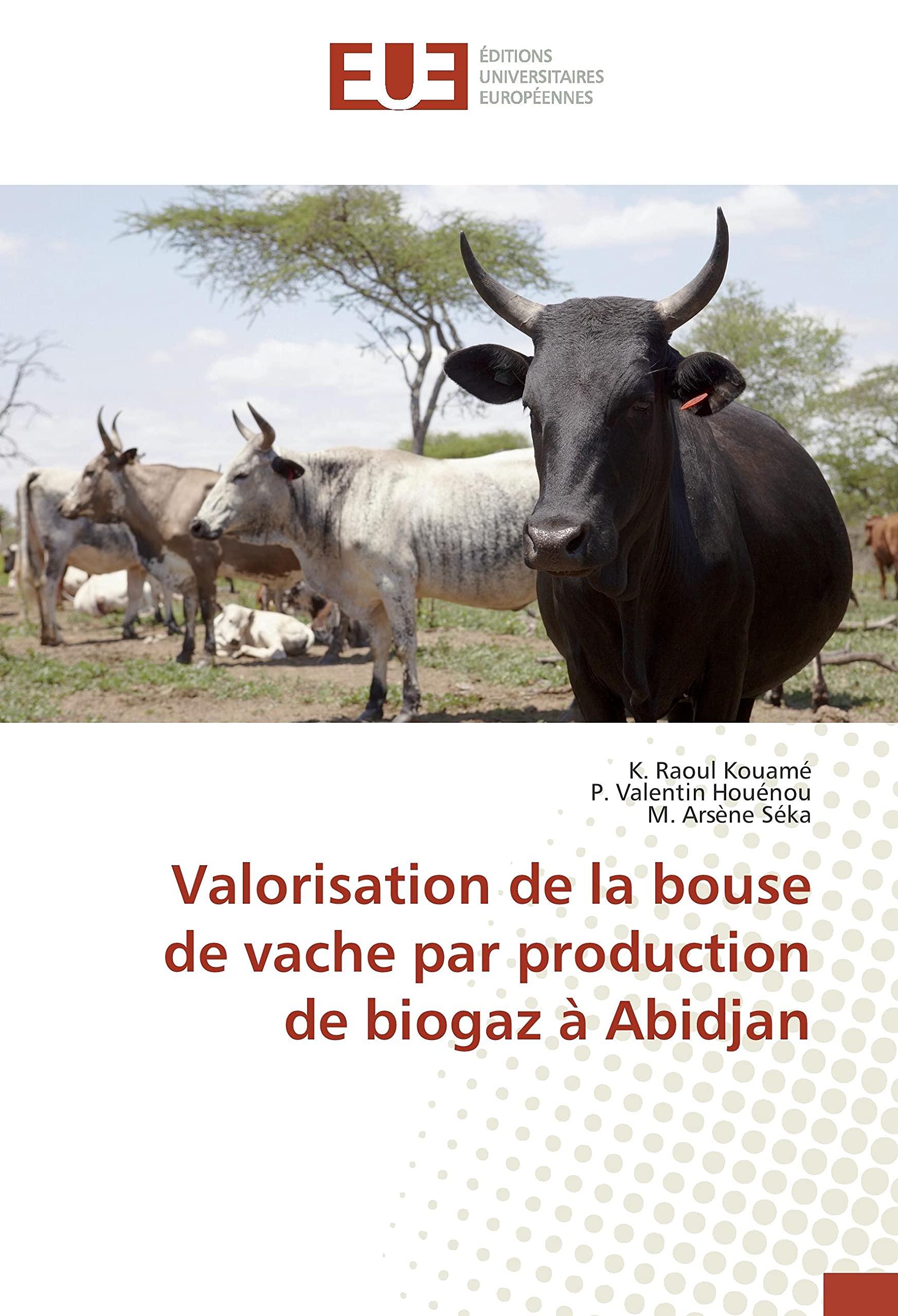 Valorisation de la bouse de vache par production de biogaz à Abidjan book