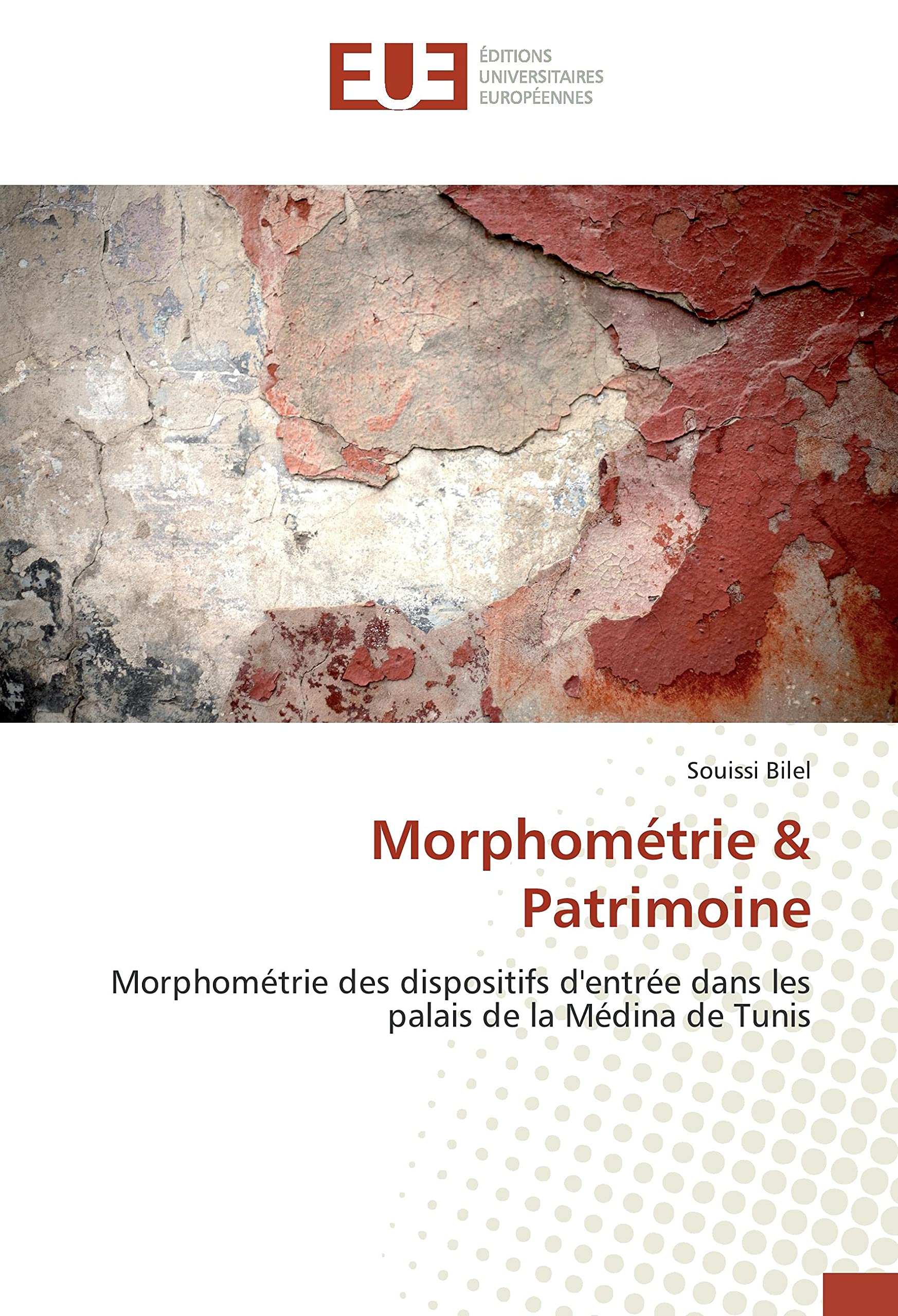 Morphométrie & Patrimoine: Morphométrie des dispositifs d'entrée dans les palais de la Médina de Tunis book