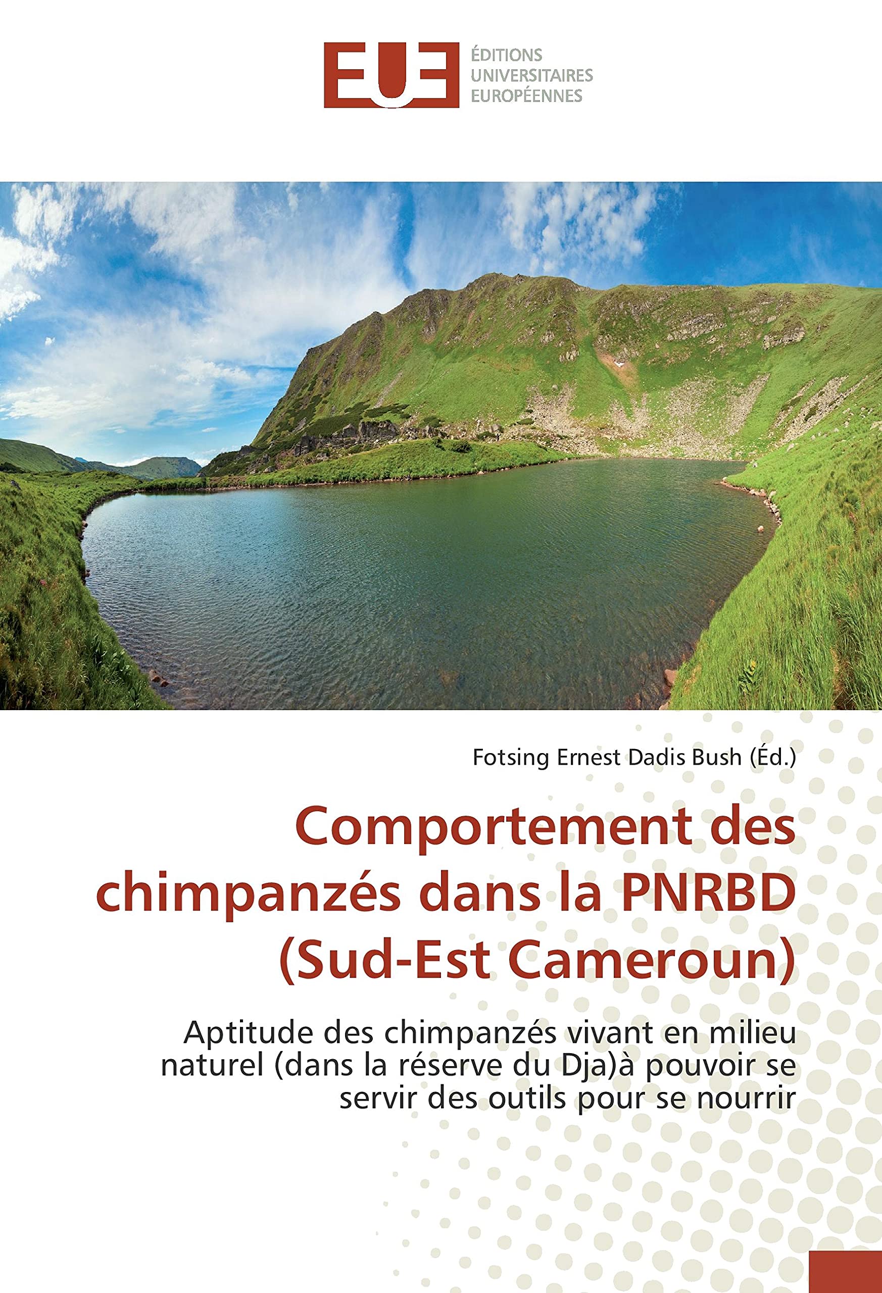 Comportement des chimpanzés dans la PNRBD (Sud-Est Cameroun) book