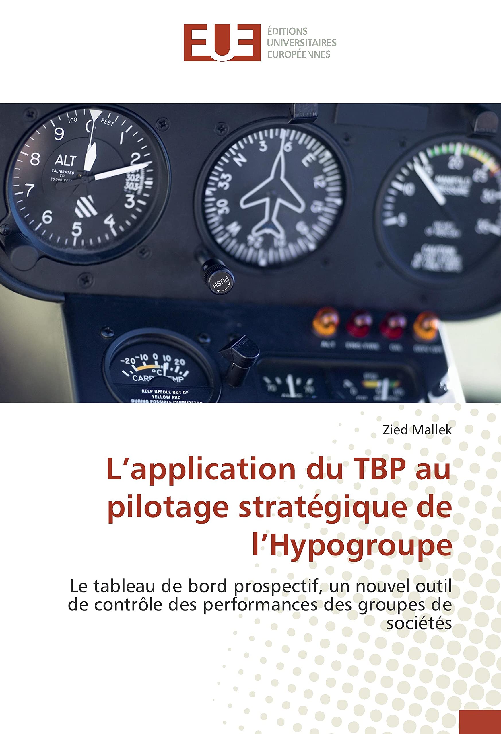 L’application du TBP au pilotage stratégique de l’Hypogroupe: Le tableau de bord prospectif, un nouvel outil de contrôle des performances des groupes de sociétés book