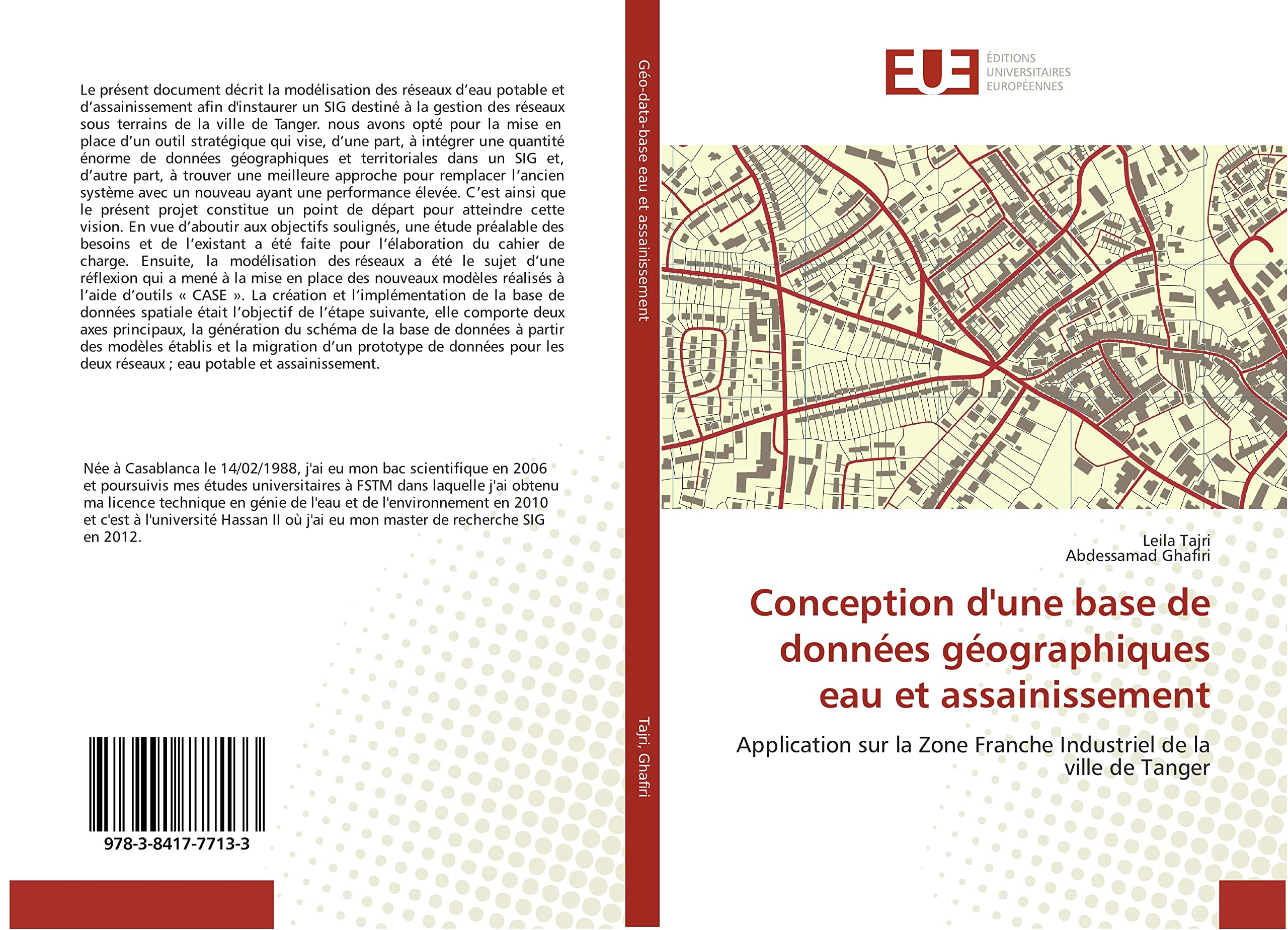 Conception d'une base de données géographiques eau et assainissement: Application sur la Zone Franche Industriel de la ville de Tanger book