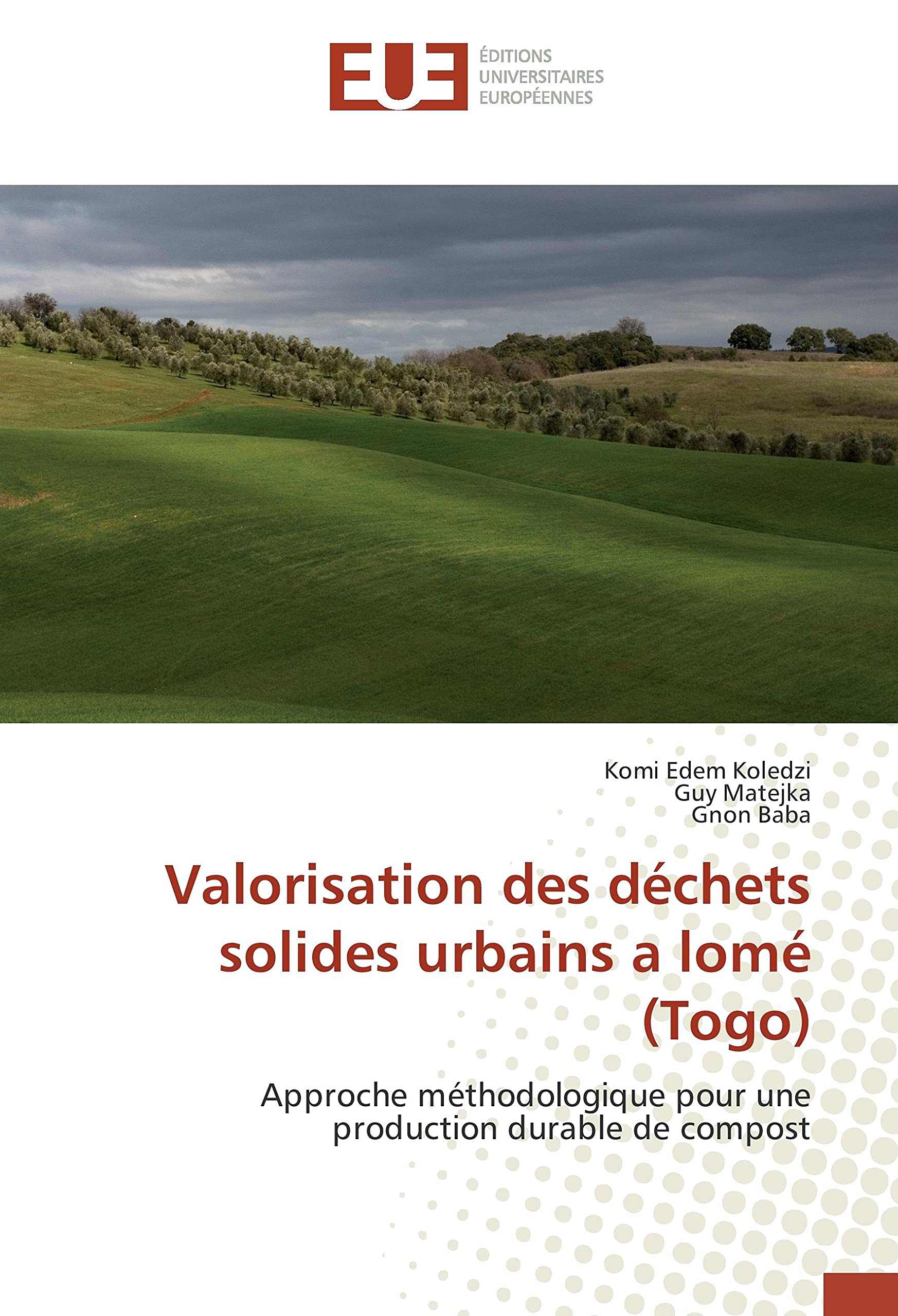 Valorisation des déchets solides urbains a lomé (Togo): Approche méthodologique pour une production durable de compost book