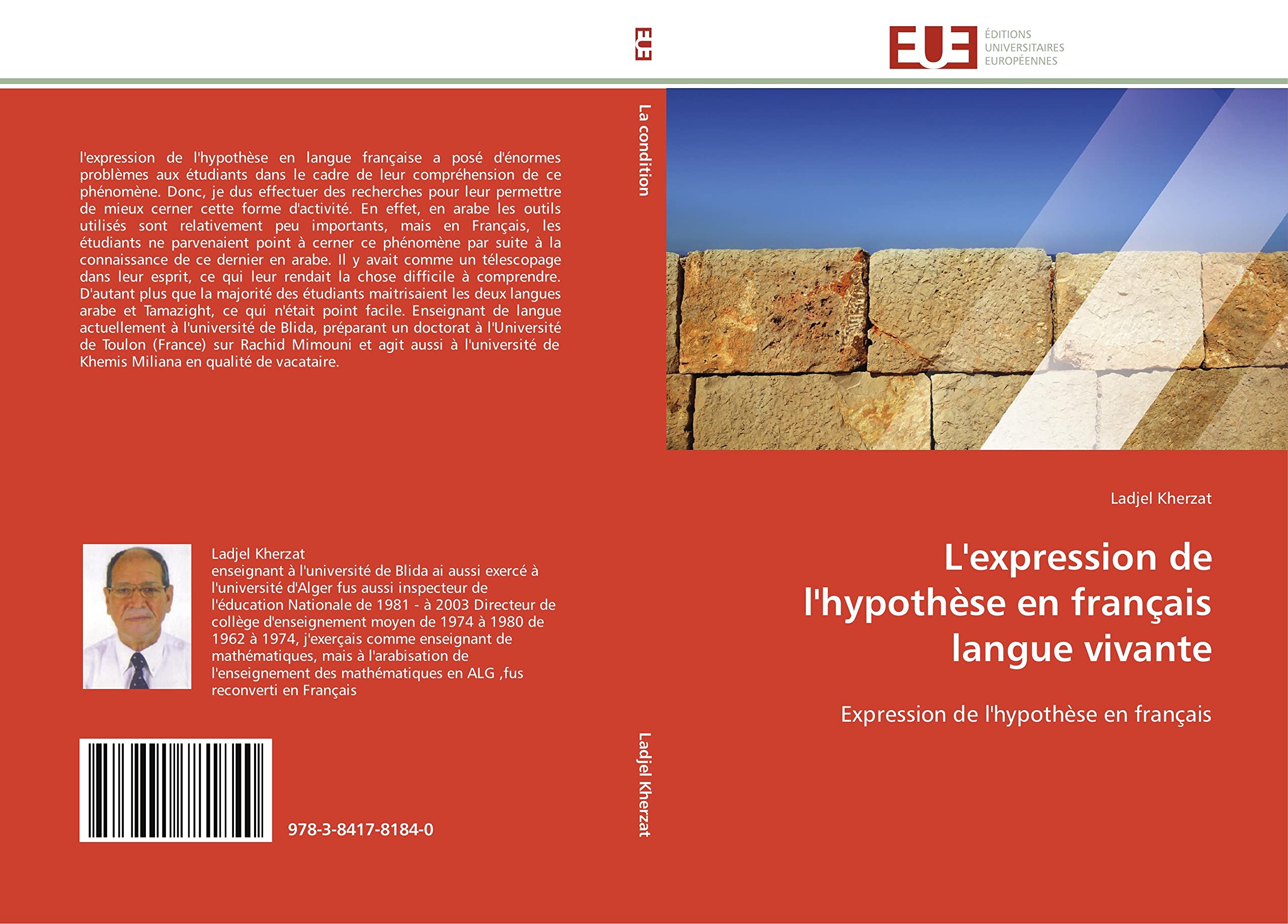 L'expression de l'hypothèse en français langue vivante: Expression de l'hypothèse en français book