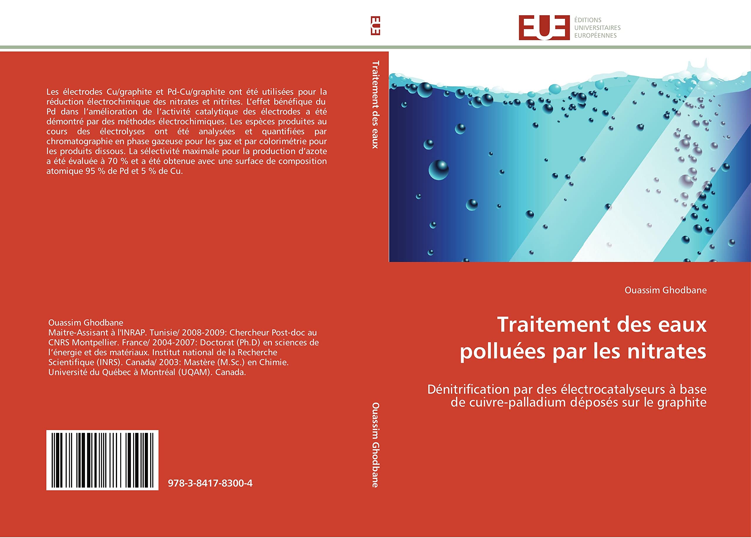 Traitement des eaux polluées par les nitrates: Dénitrification par des électrocatalyseurs à base de cuivre-palladium déposés sur le graphite book