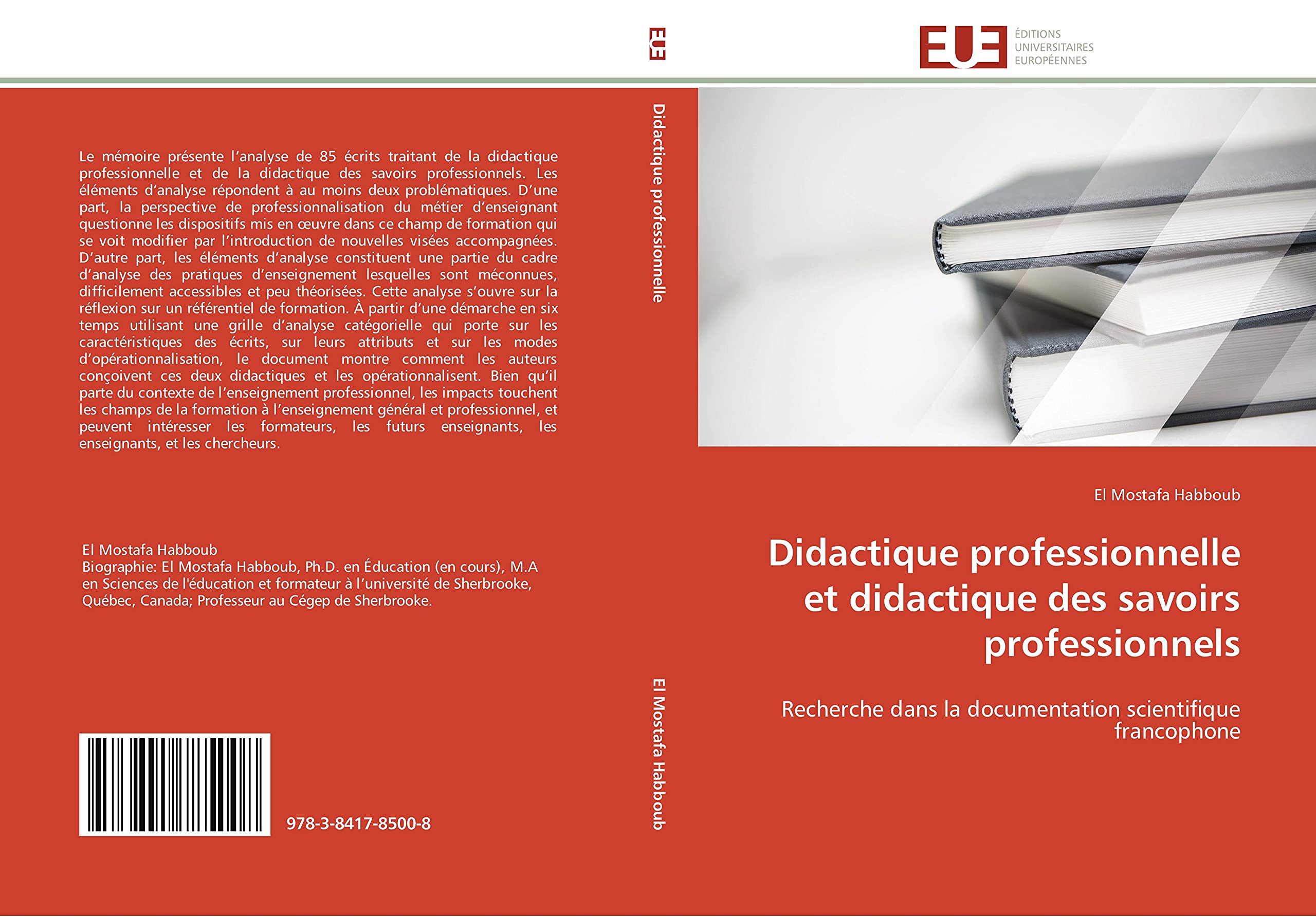 Didactique professionnelle et didactique des savoirs professionnels: Recherche dans la documentation scientifique francophone book