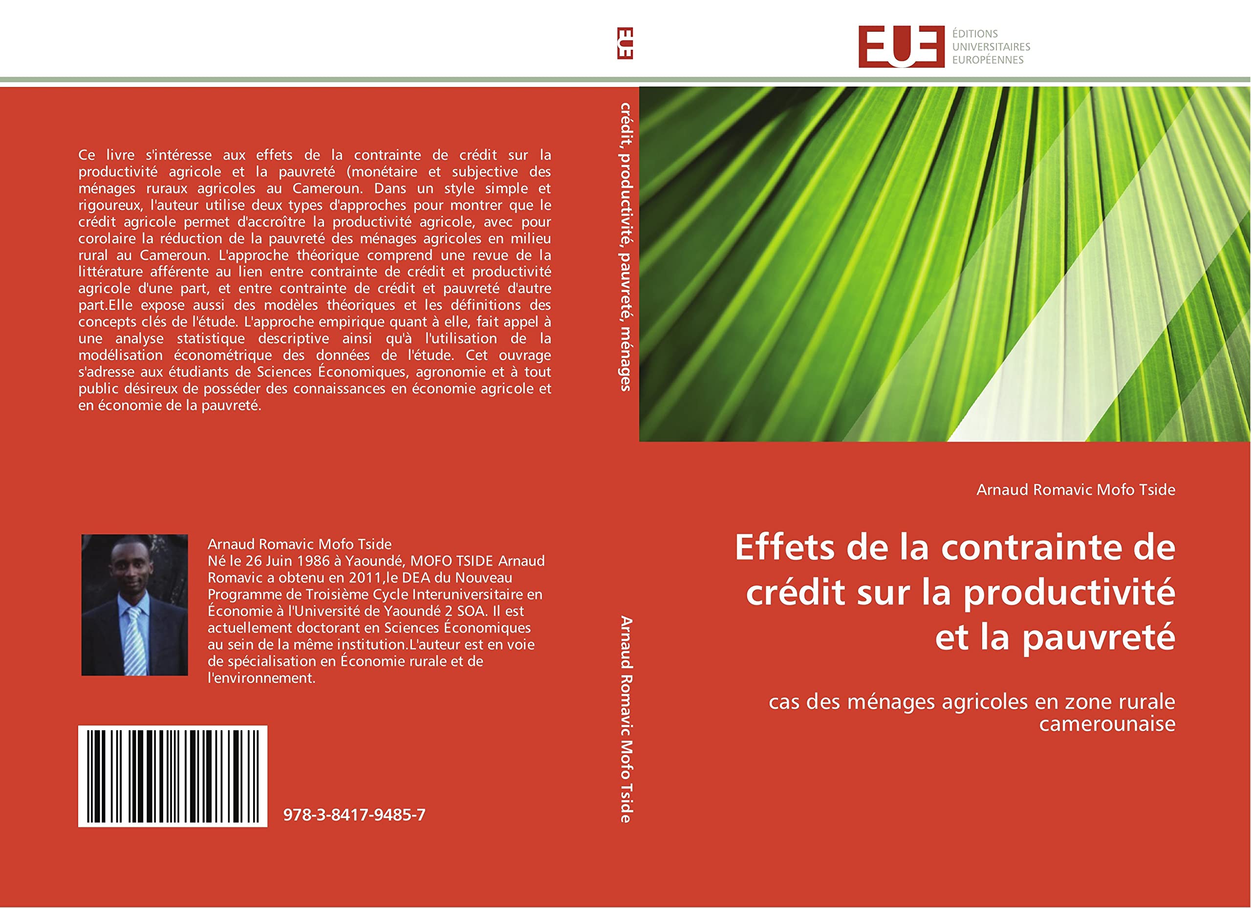 Effets de la contrainte de crédit sur la productivité et la pauvreté: cas des ménages agricoles en zone rurale camerounaise book