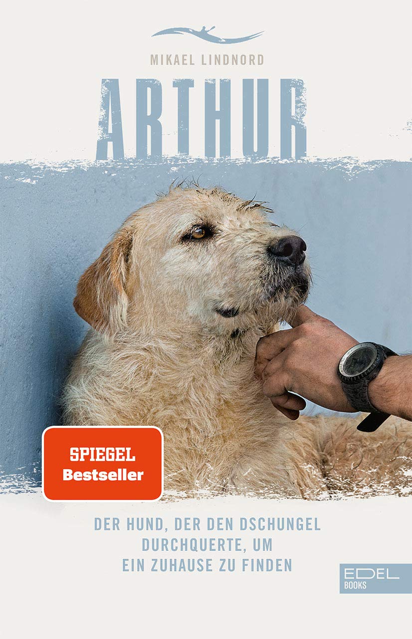 Arthur Art & Literature Books