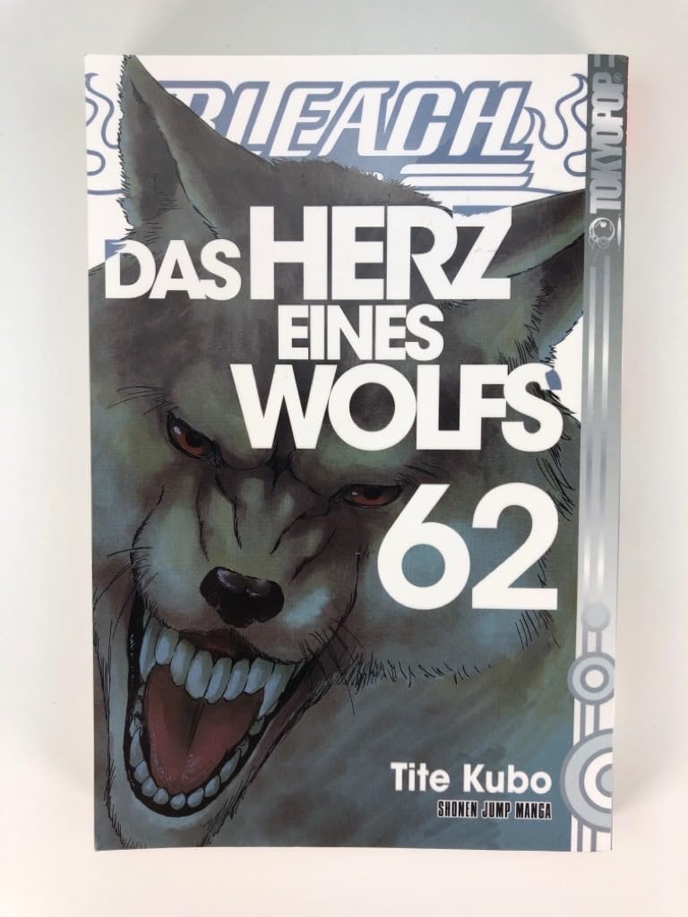 Bleach 62 Manga