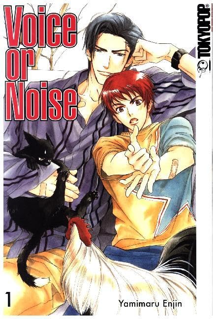 Product Image: Voice or Noise 01