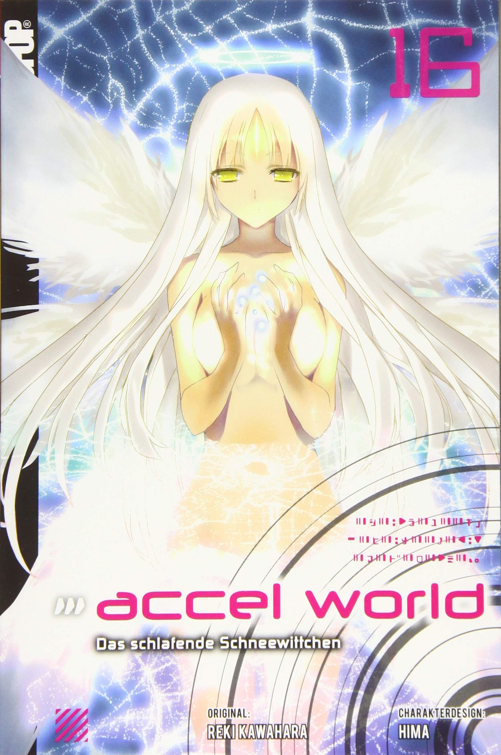 Product Image: Accel World - Novel 16