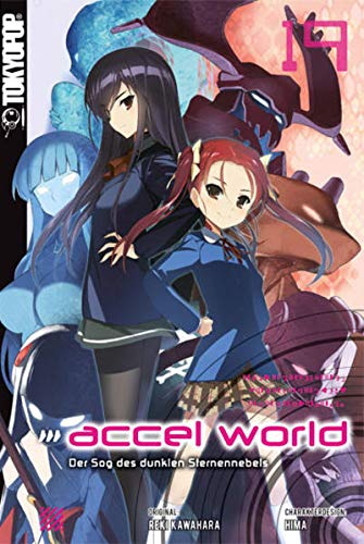 Product Image: Accel World - Novel 19