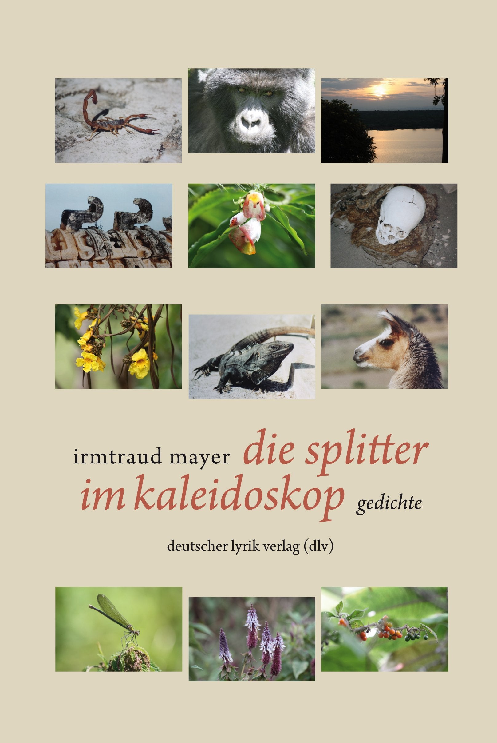 die splitter im kaleidoskop Poetry