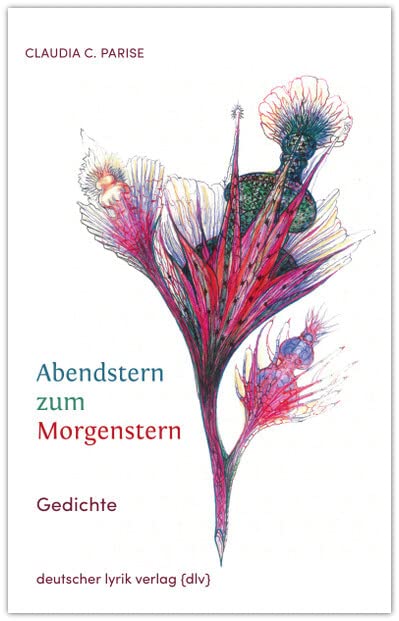 Abendstern zum Morgenstern book