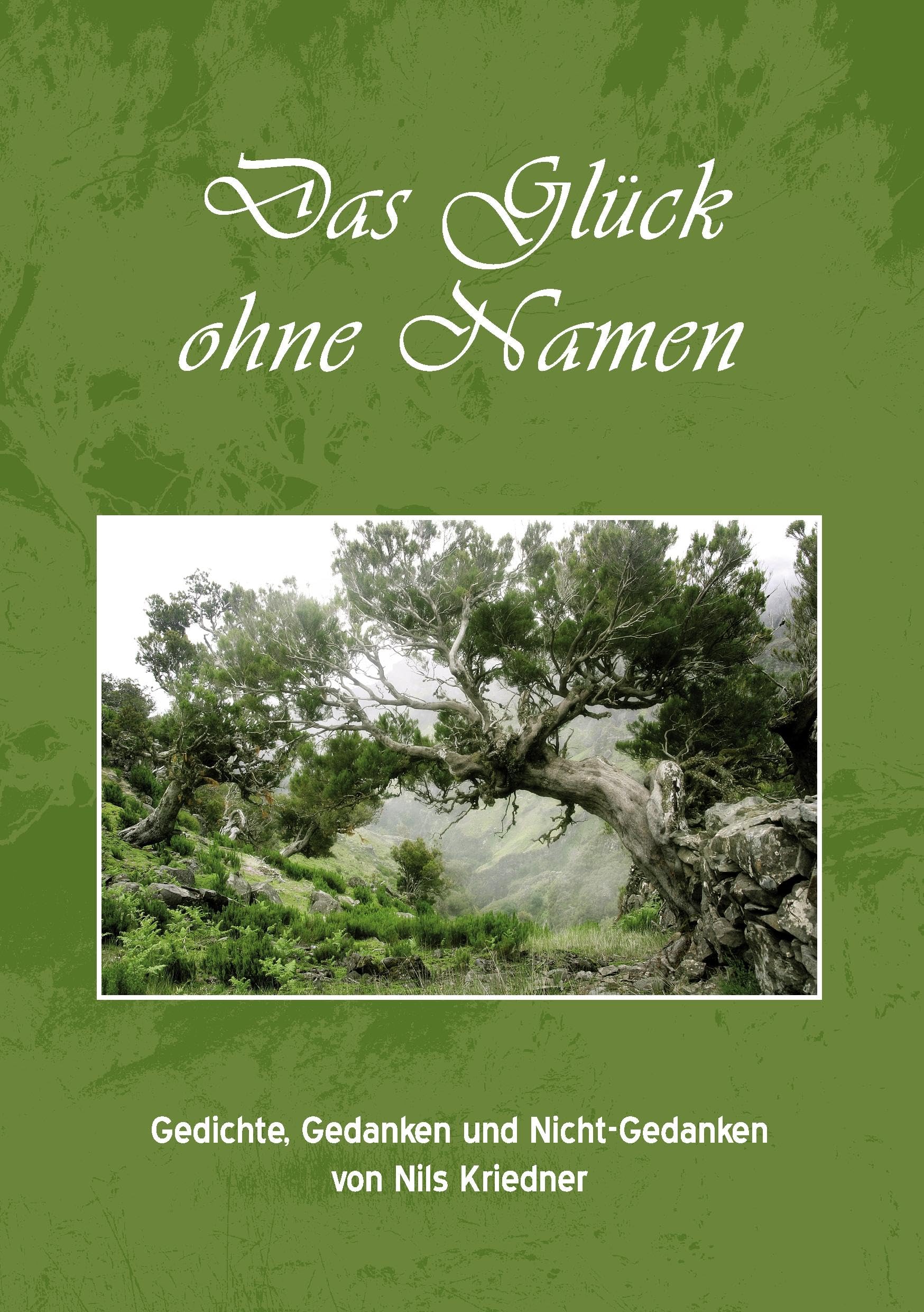 Das Glück ohne Namen: Gedichte, Gedanken und Nicht-Gedanken von Nils Kriedner Poetry