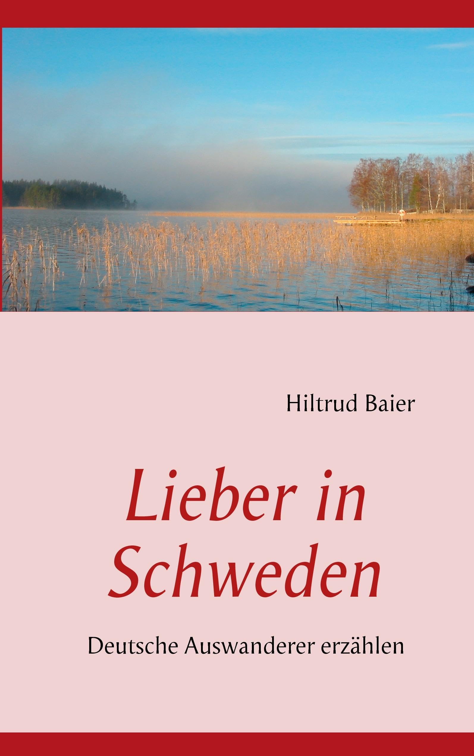 Lieber in Schweden Politics & Society Books