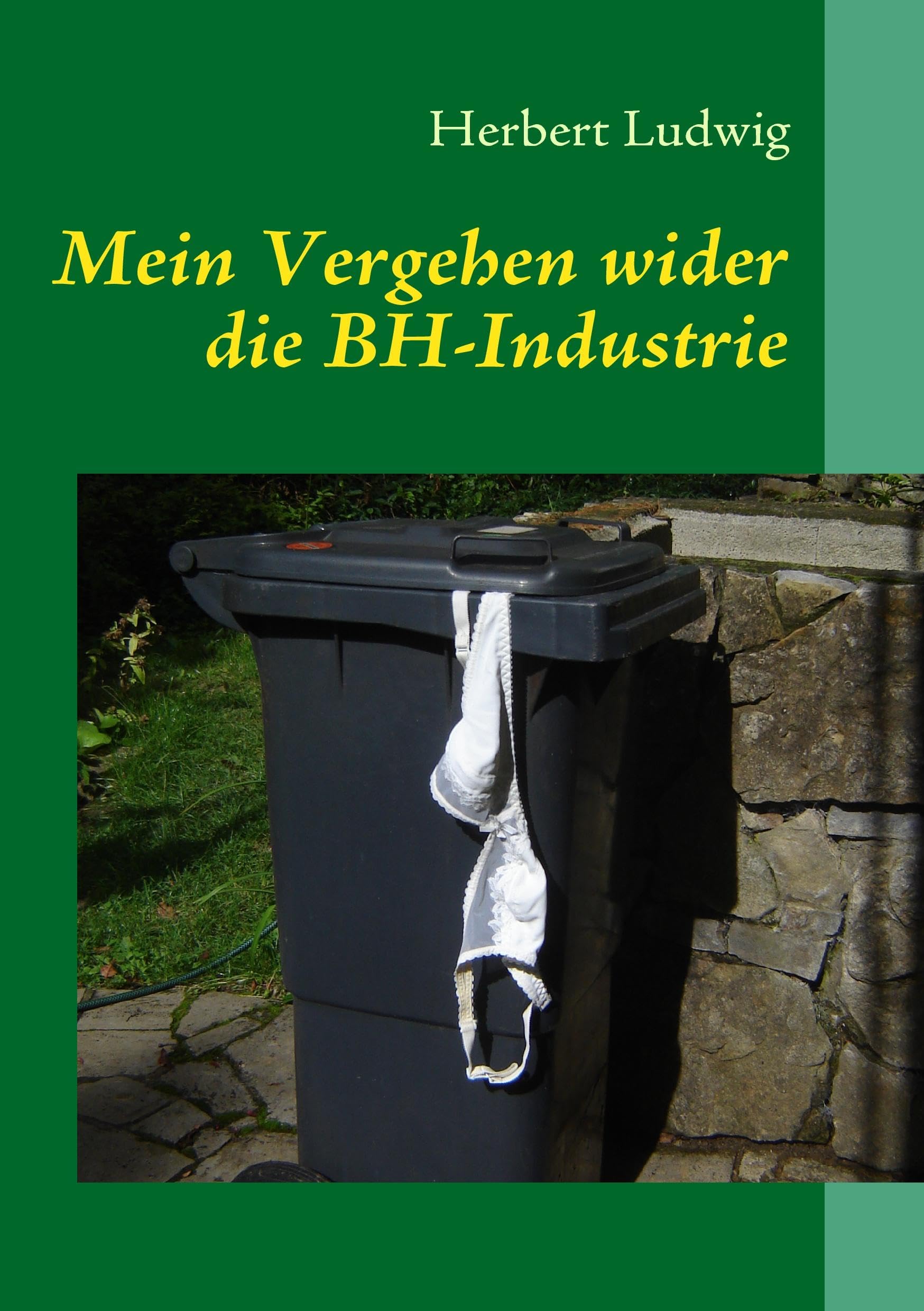 Mein Vergehen wider die BH-Industrie: Erzählungen Historical Fiction
