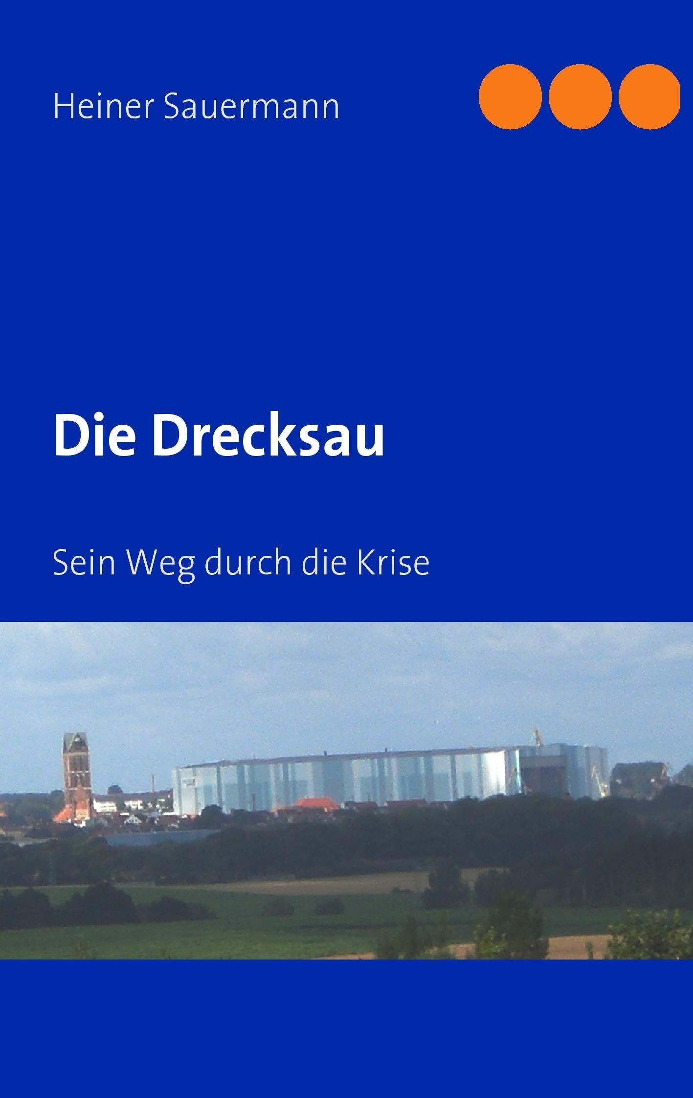 Die Drecksau: Sein Weg durch die Krise Contemporary literature