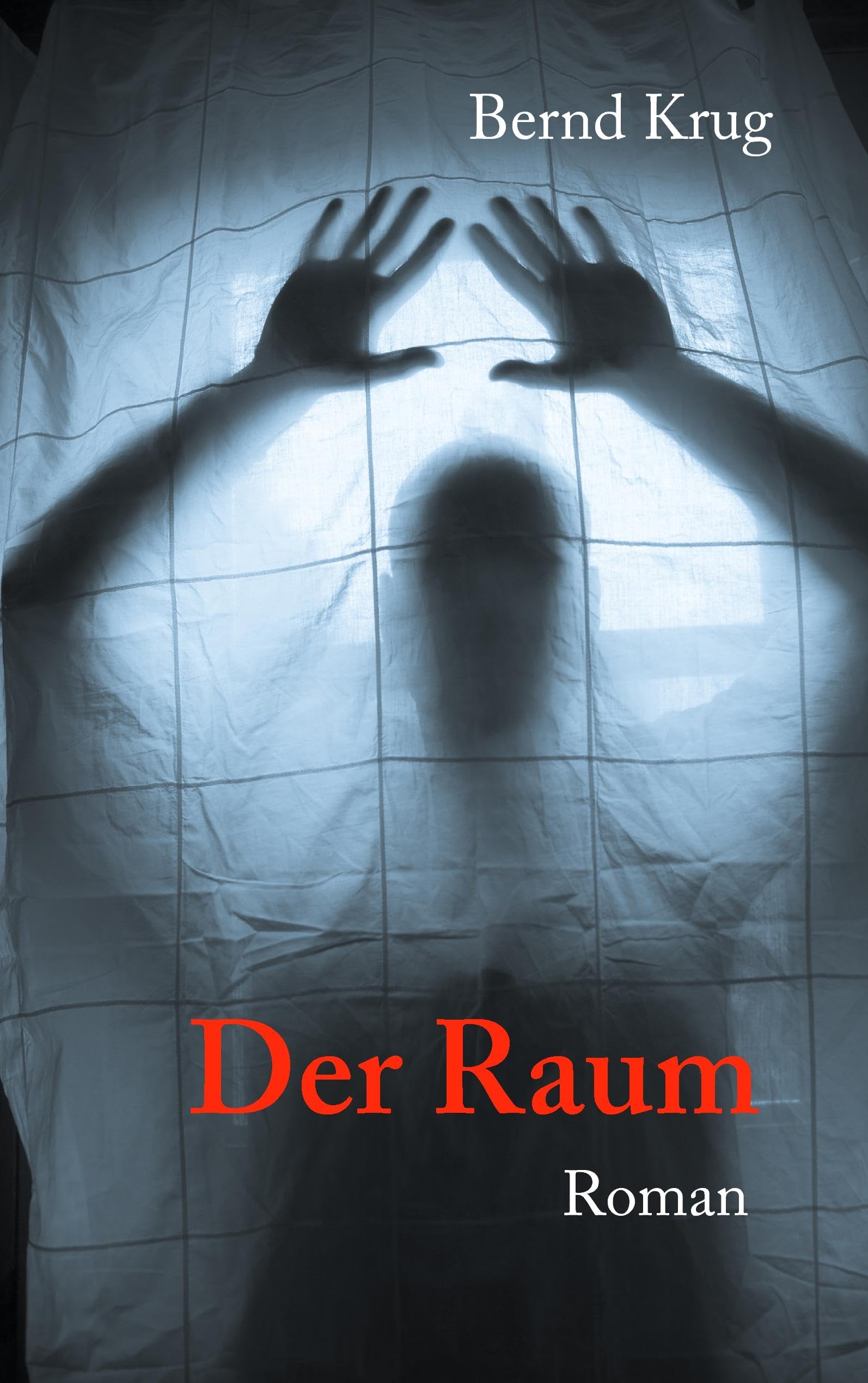 Der Raum: Roman Contemporary literature