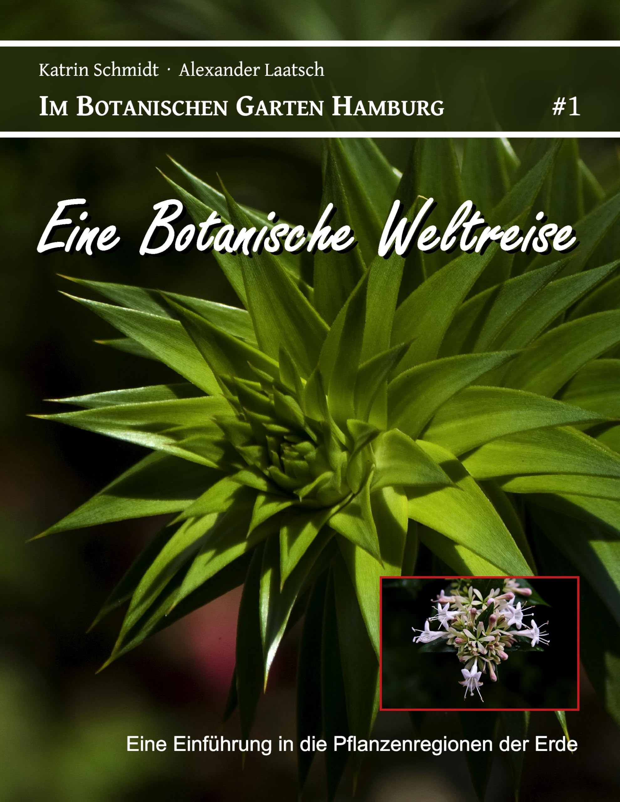 Eine Botanische Weltreise: Eine Einführung in die Pflanzenregionen der Erde book