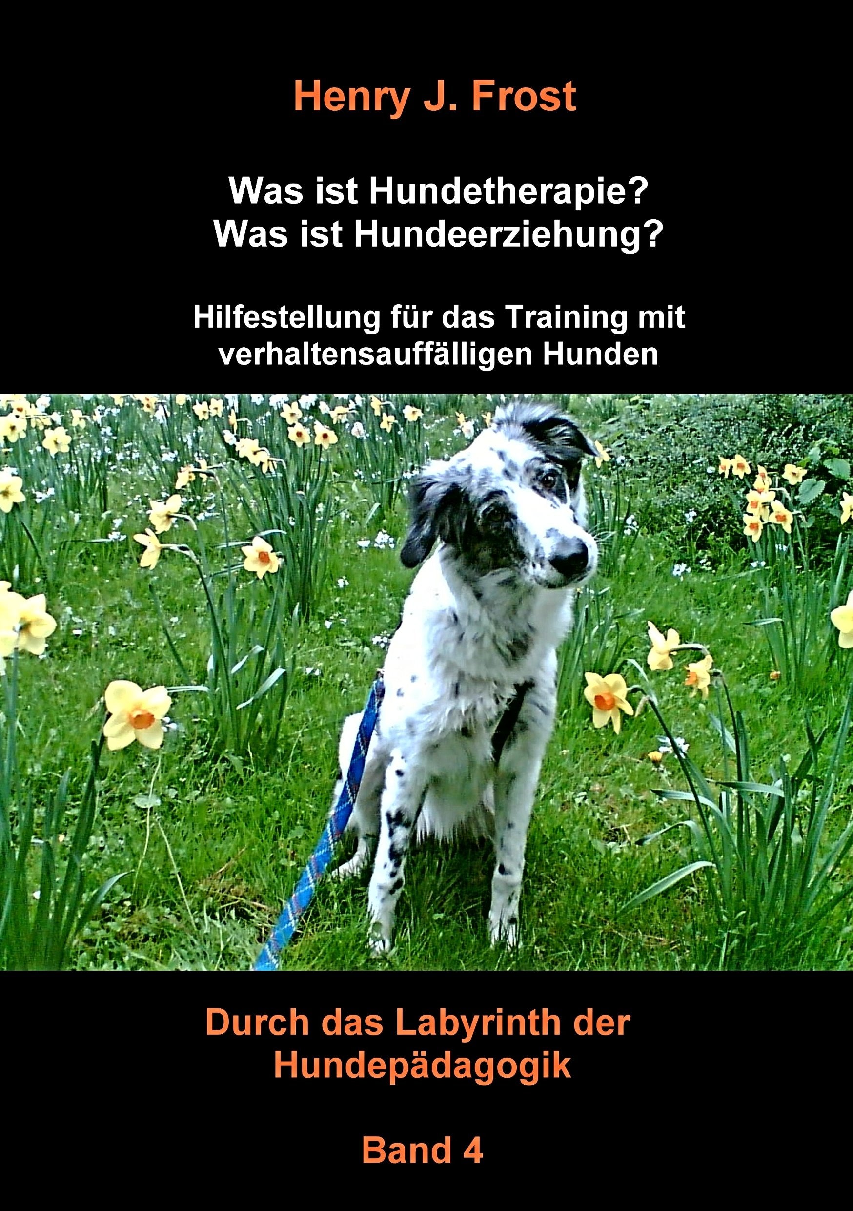 Was ist Hundetherapie? Was ist Hundeerziehung? - Hilfestellung für das Training mit verhaltensauffälligen Hunden Pets
