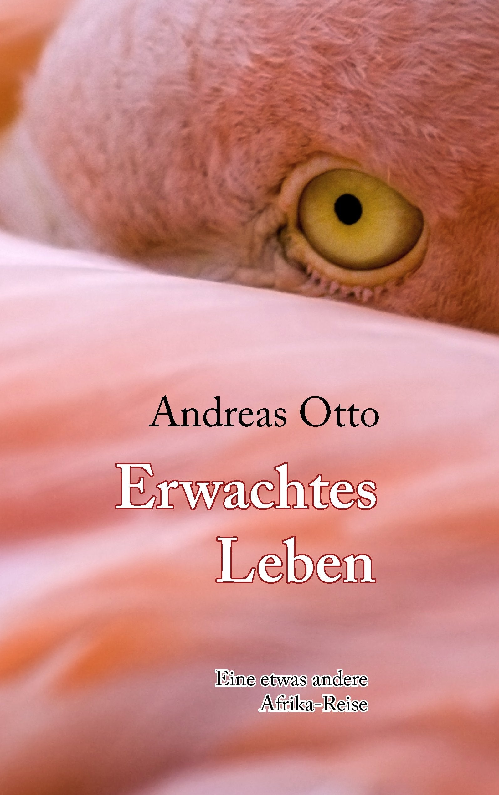 Erwachtes Leben: Eine etwas andere Afrika-Reise Business, Finance & Career