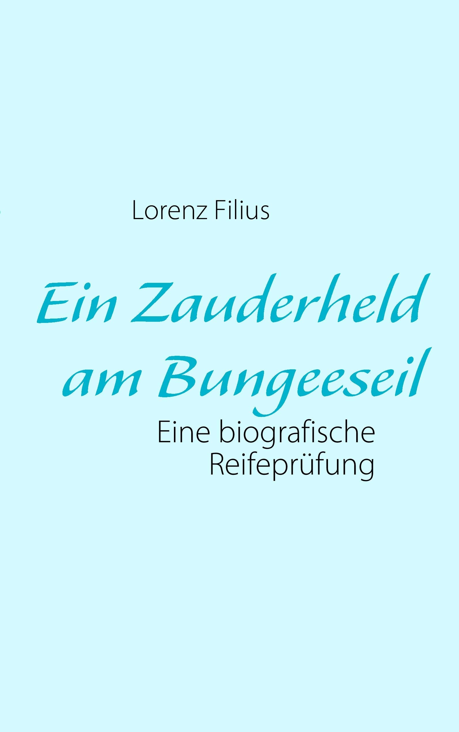 Product Image: Ein Zauderheld am Bungeeseil