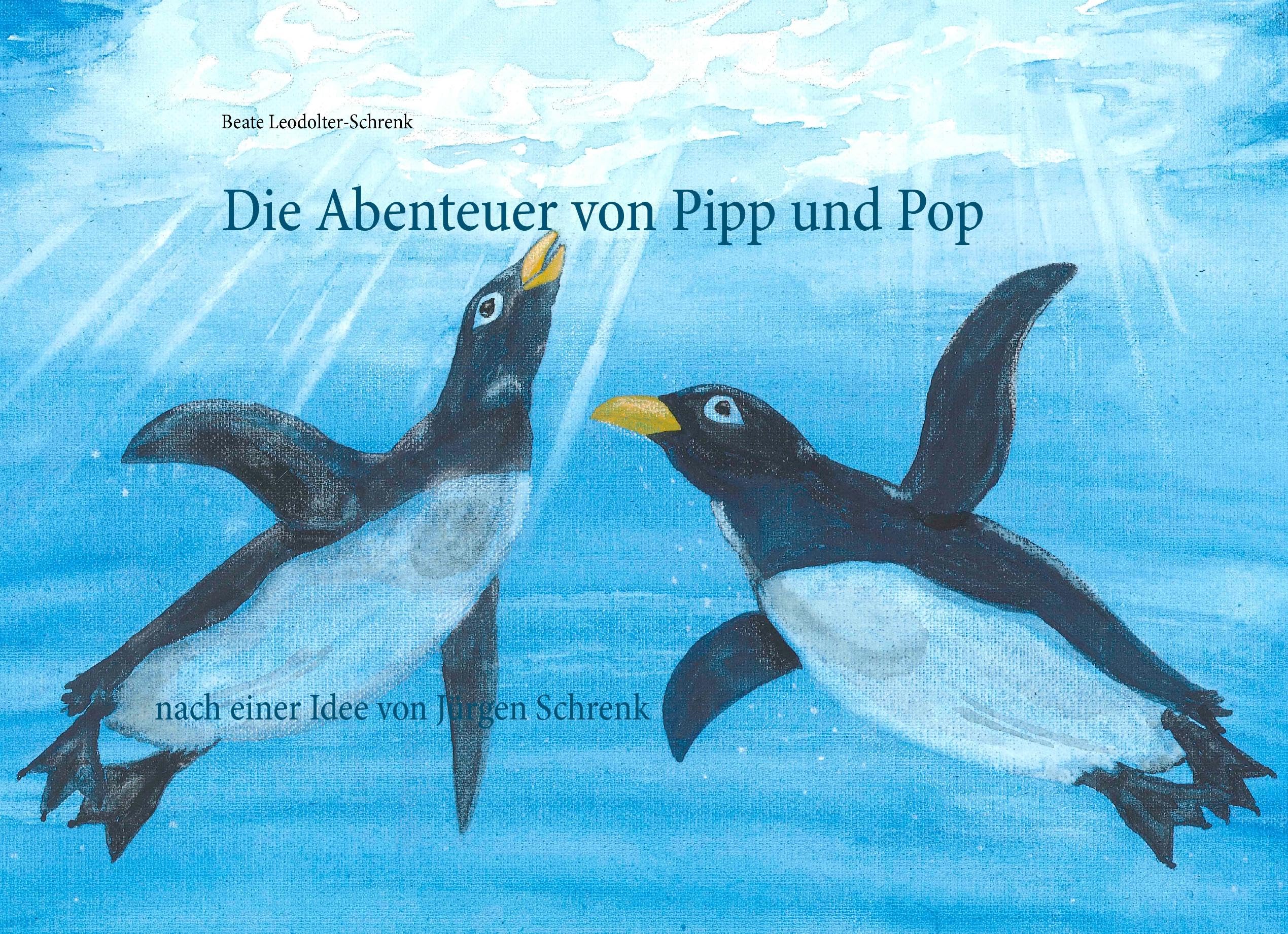 Die Abenteuer von Pipp und Pop: nach einer Idee von Jürgen Schrenk Children's books