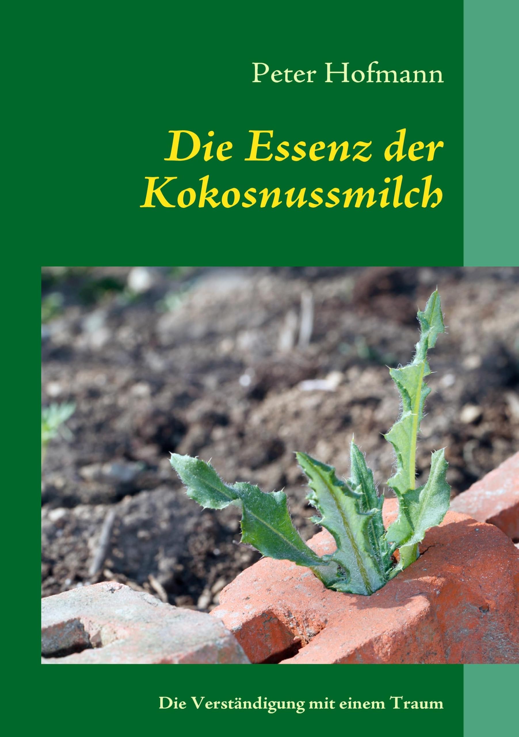 Die Essenz der Kokosnussmilch: Wie man das Leben sieht, hängt von den eigenen Augen ab book
