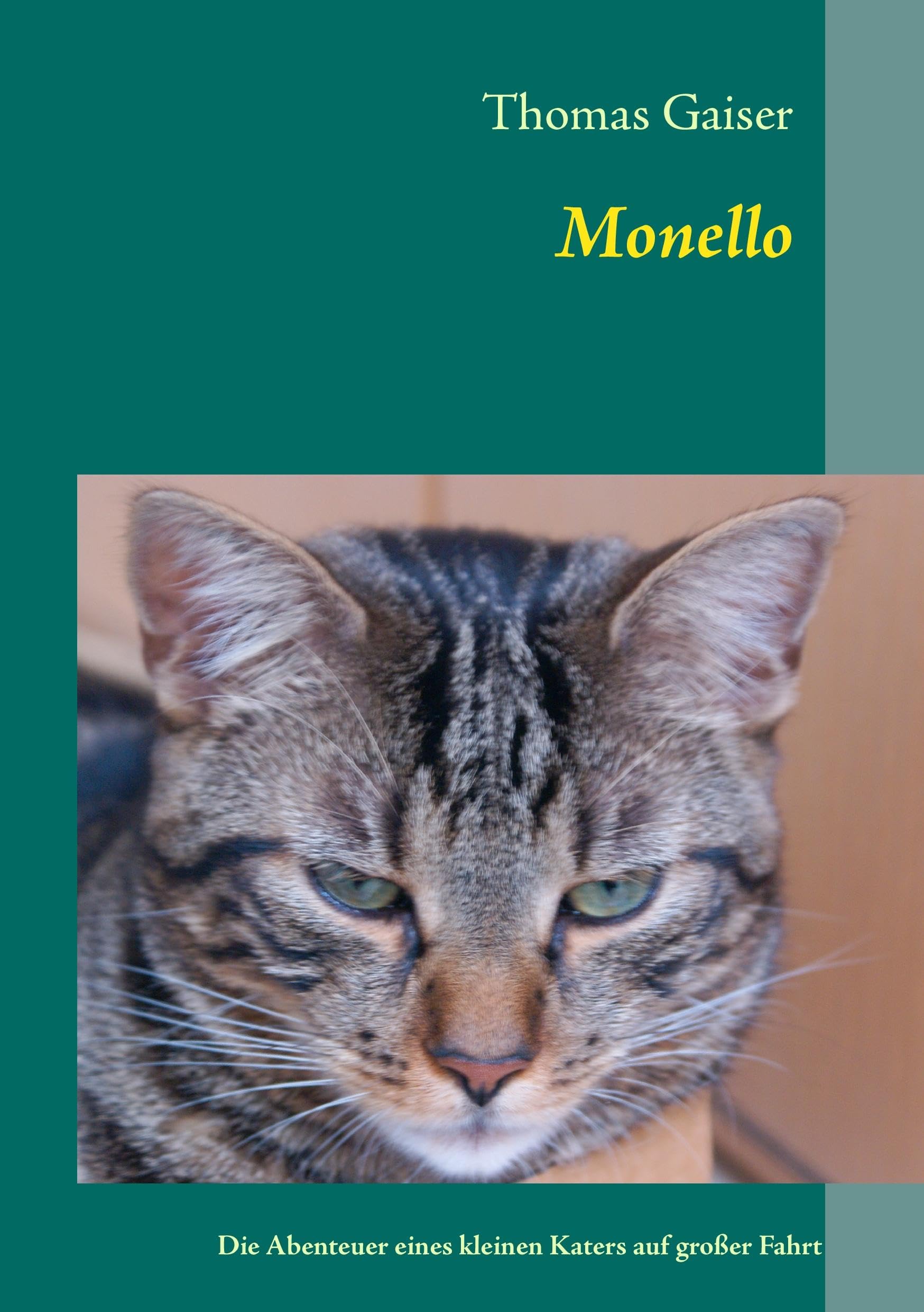 Monello: Die Abenteuer eines kleinen Katers auf großer Fahrt Contemporary literature