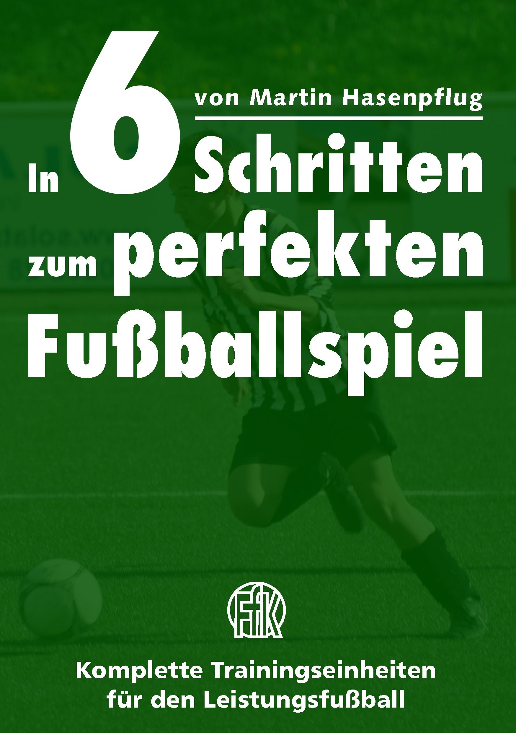 In 6 Schritten zum perfekten Fußballspiel book