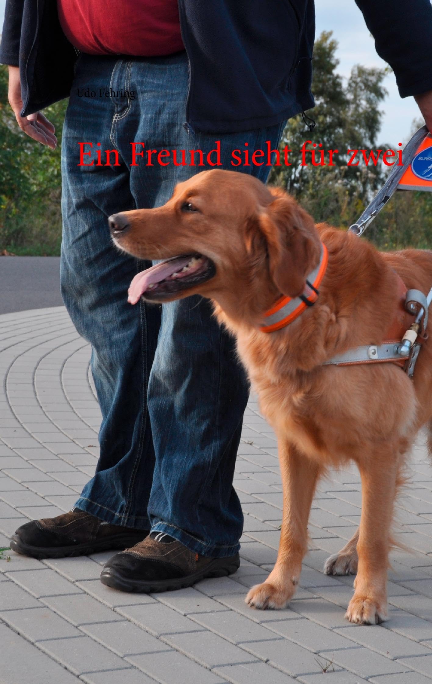Product Image: Ein Freund sieht für zwei