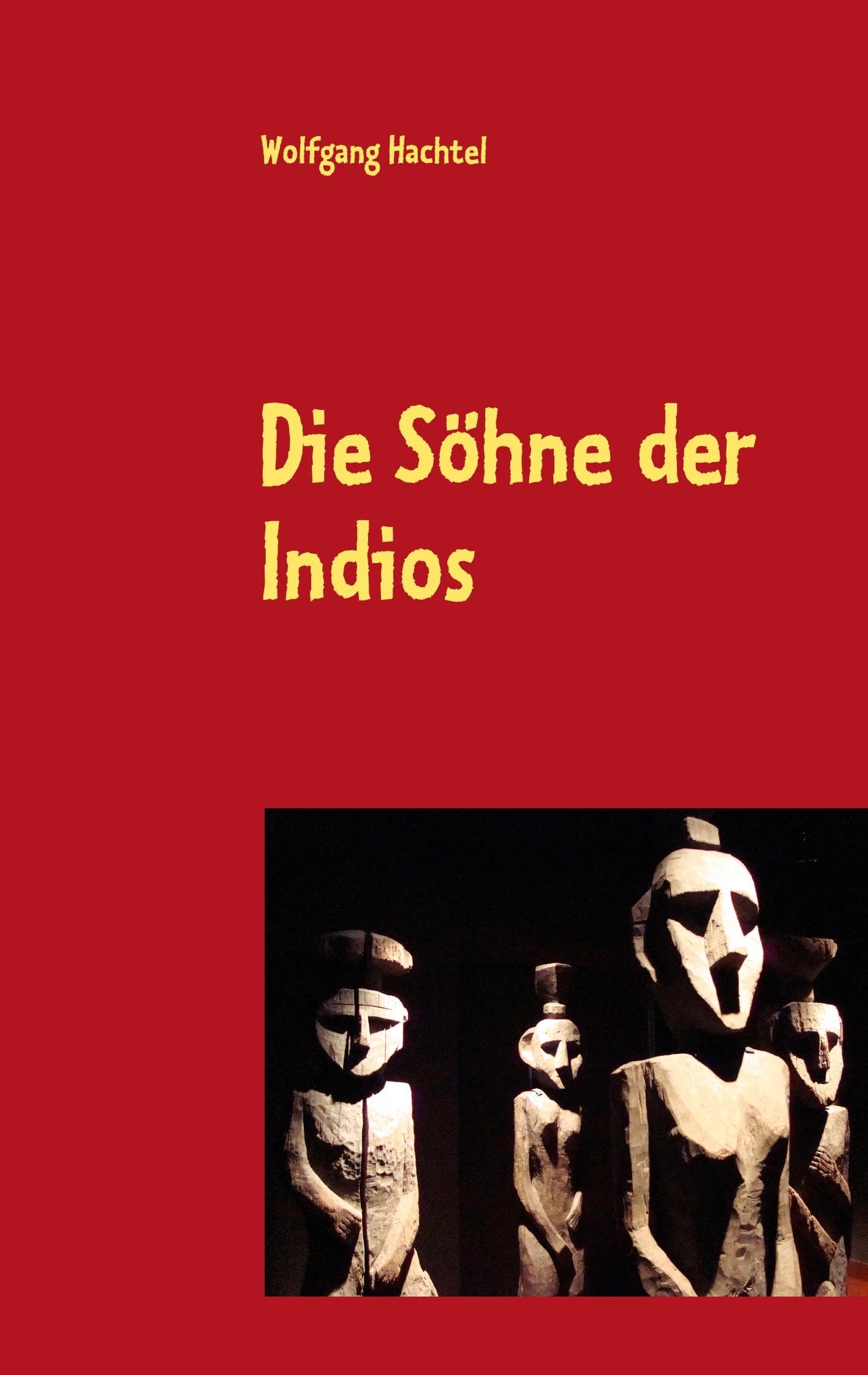 Die Söhne der Indios Contemporary literature Books