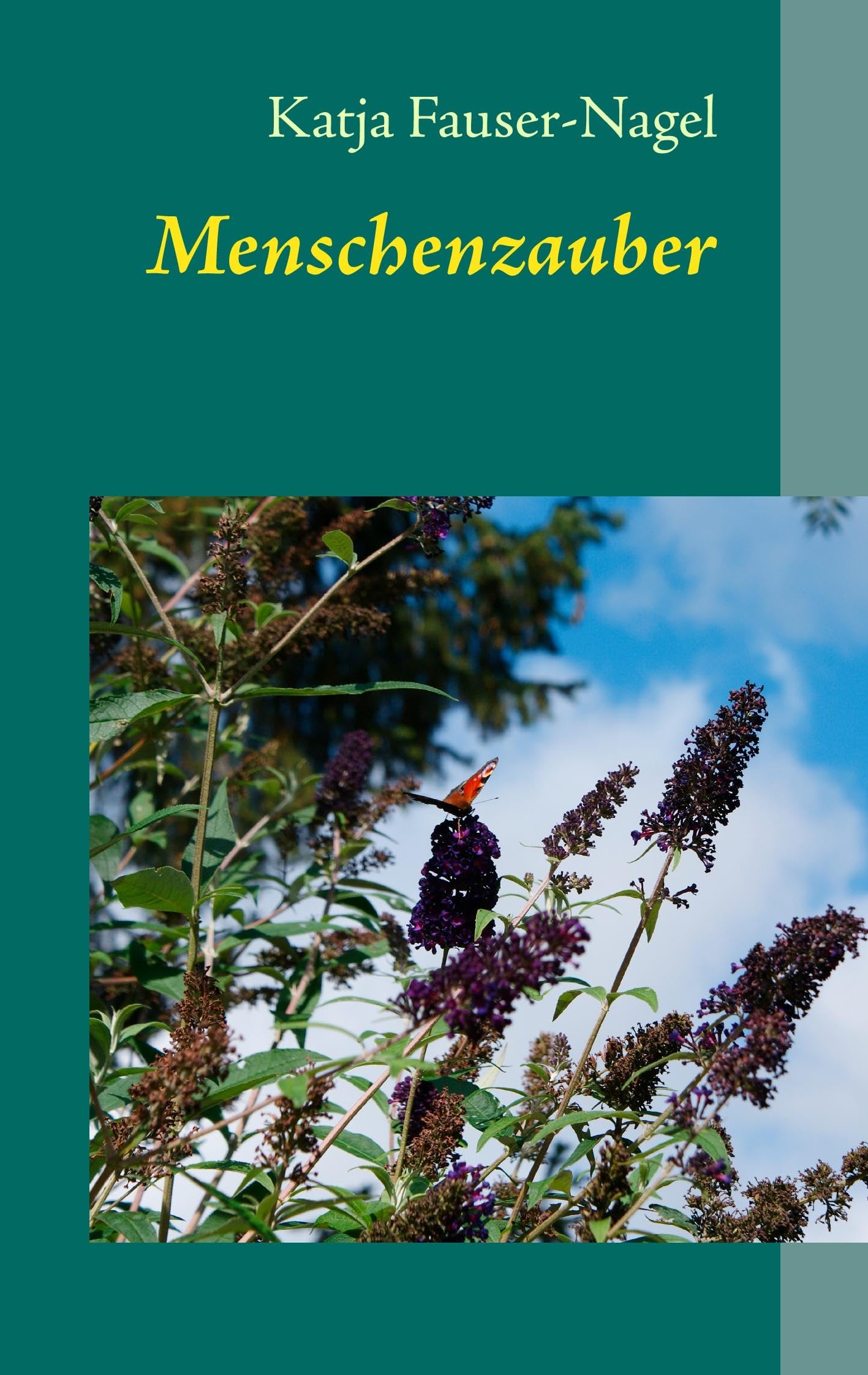 Menschenzauber Contemporary literature Books