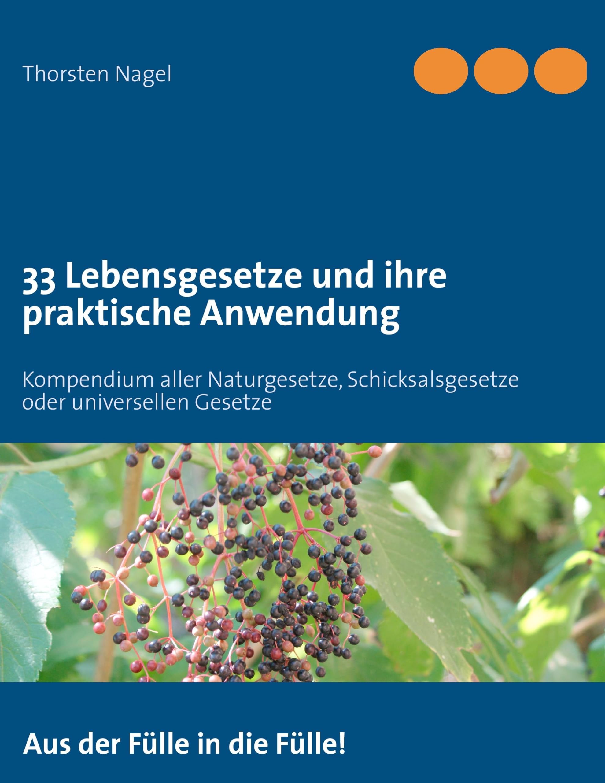 33 Lebensgesetze und ihre praktische Anwendung: Kompendium aller Naturgesetze, Schicksalsgesetze oder universellen Gesetze Philosophy