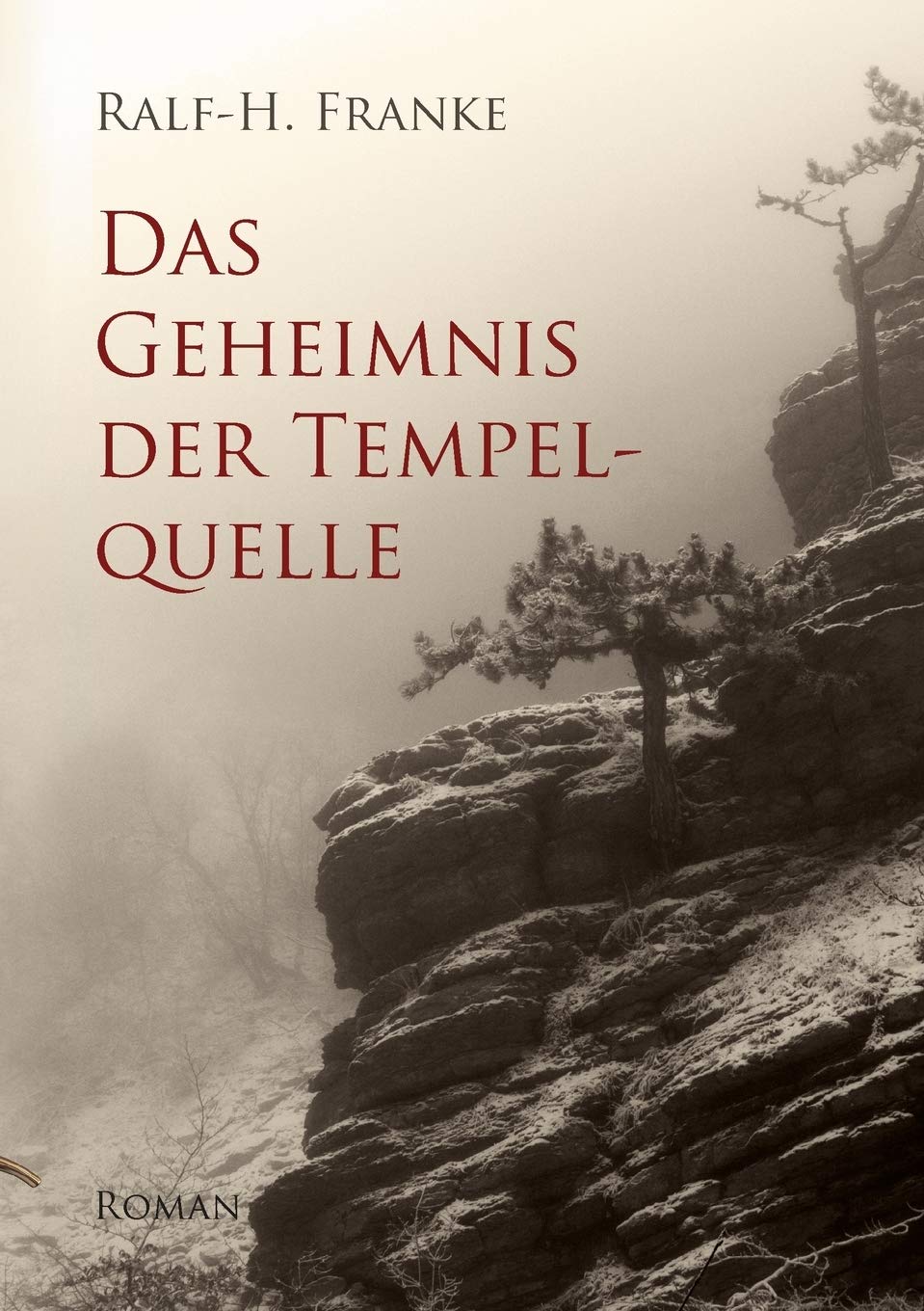 Das Geheimnis der Tempelquelle Historical Fiction