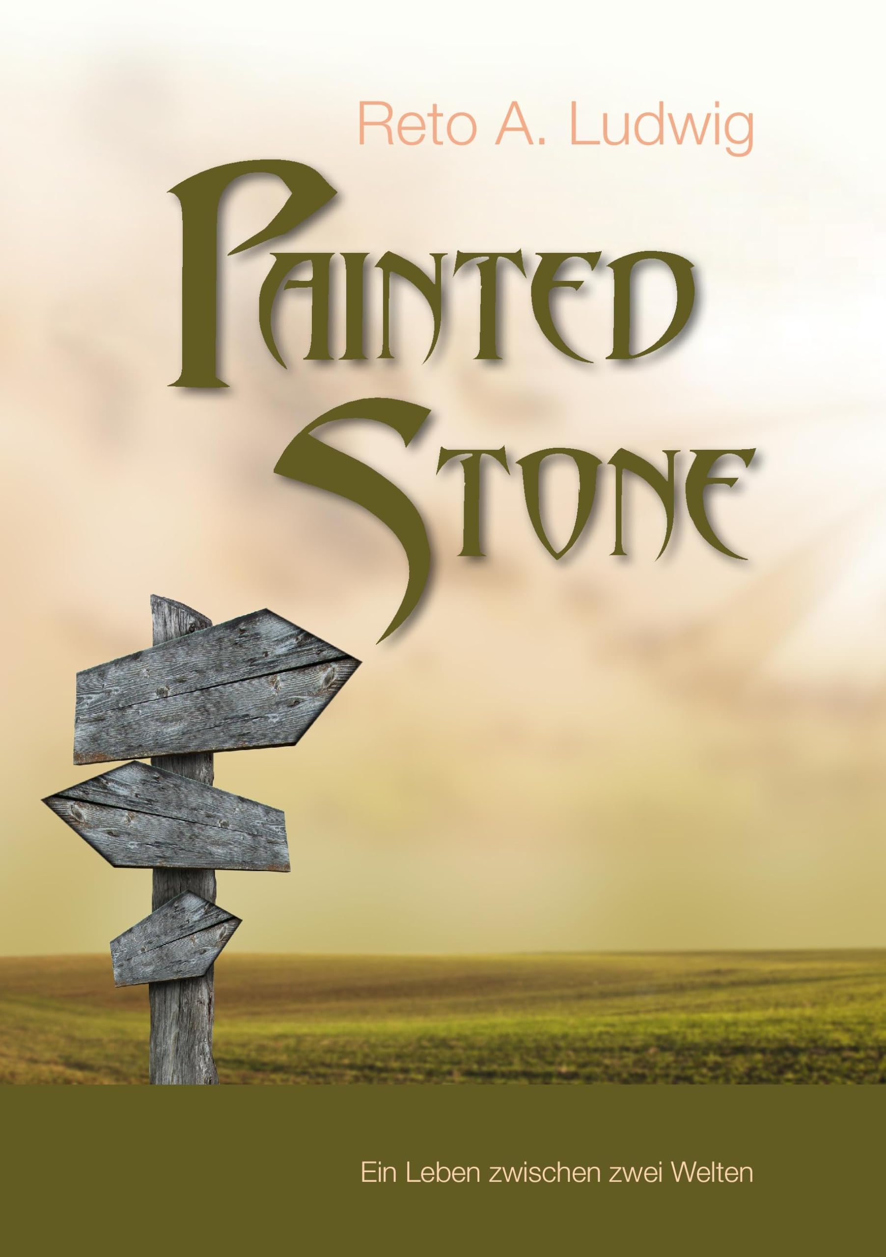Product Image: Painted Stone