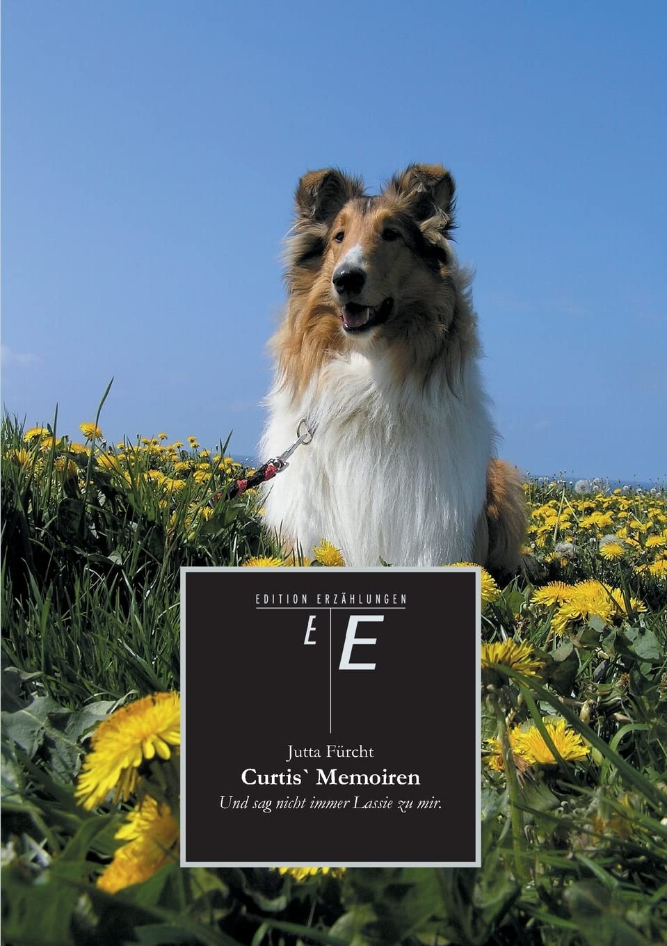Curtis` Memoiren: Und sag nicht immer Lassie zu mir. Contemporary literature